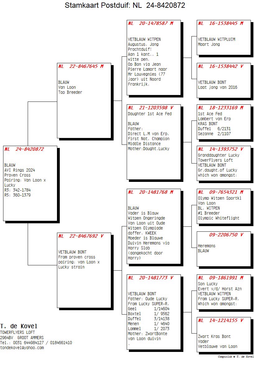 Pigeon pedigree image