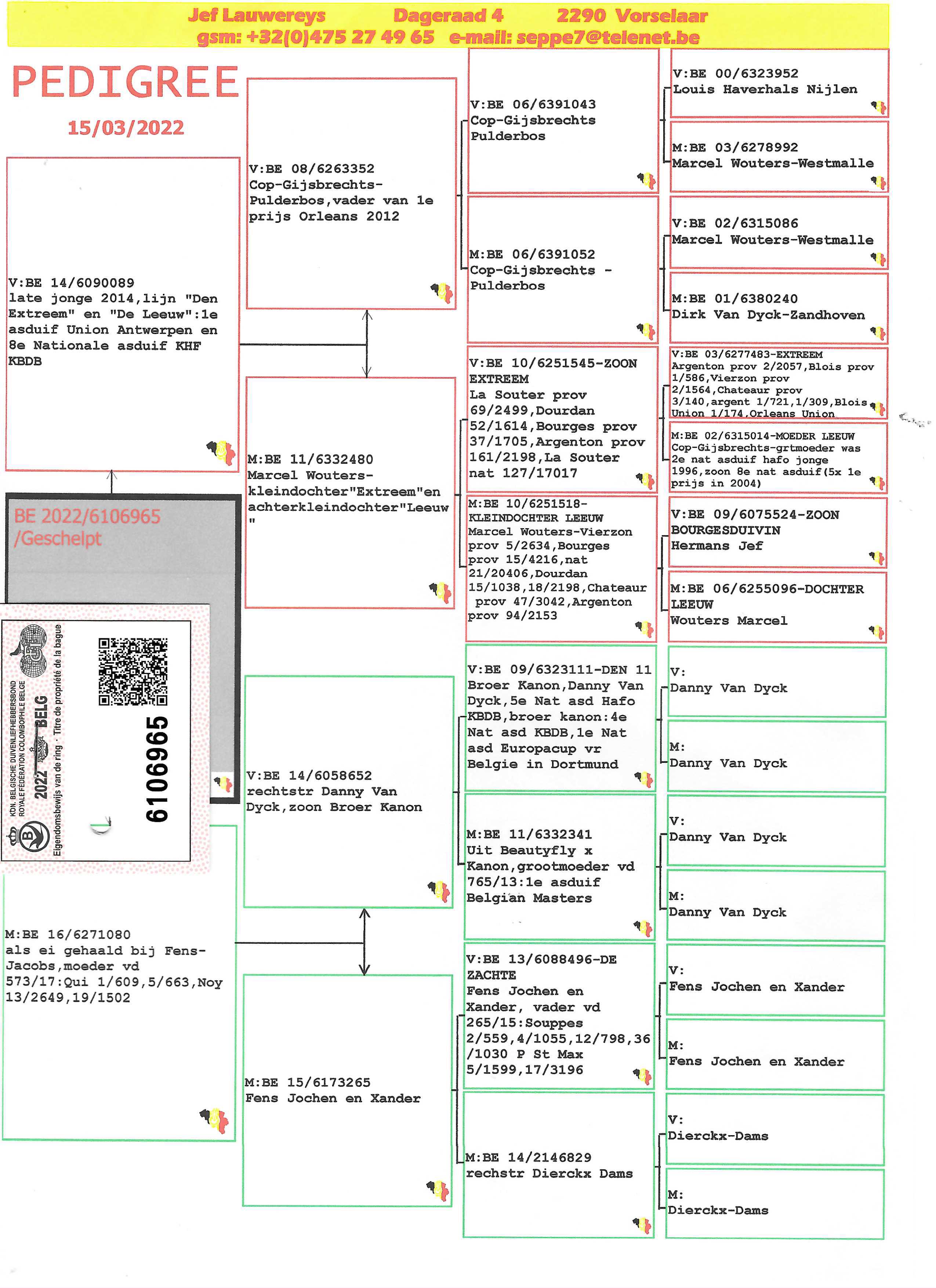 Pigeon pedigree image
