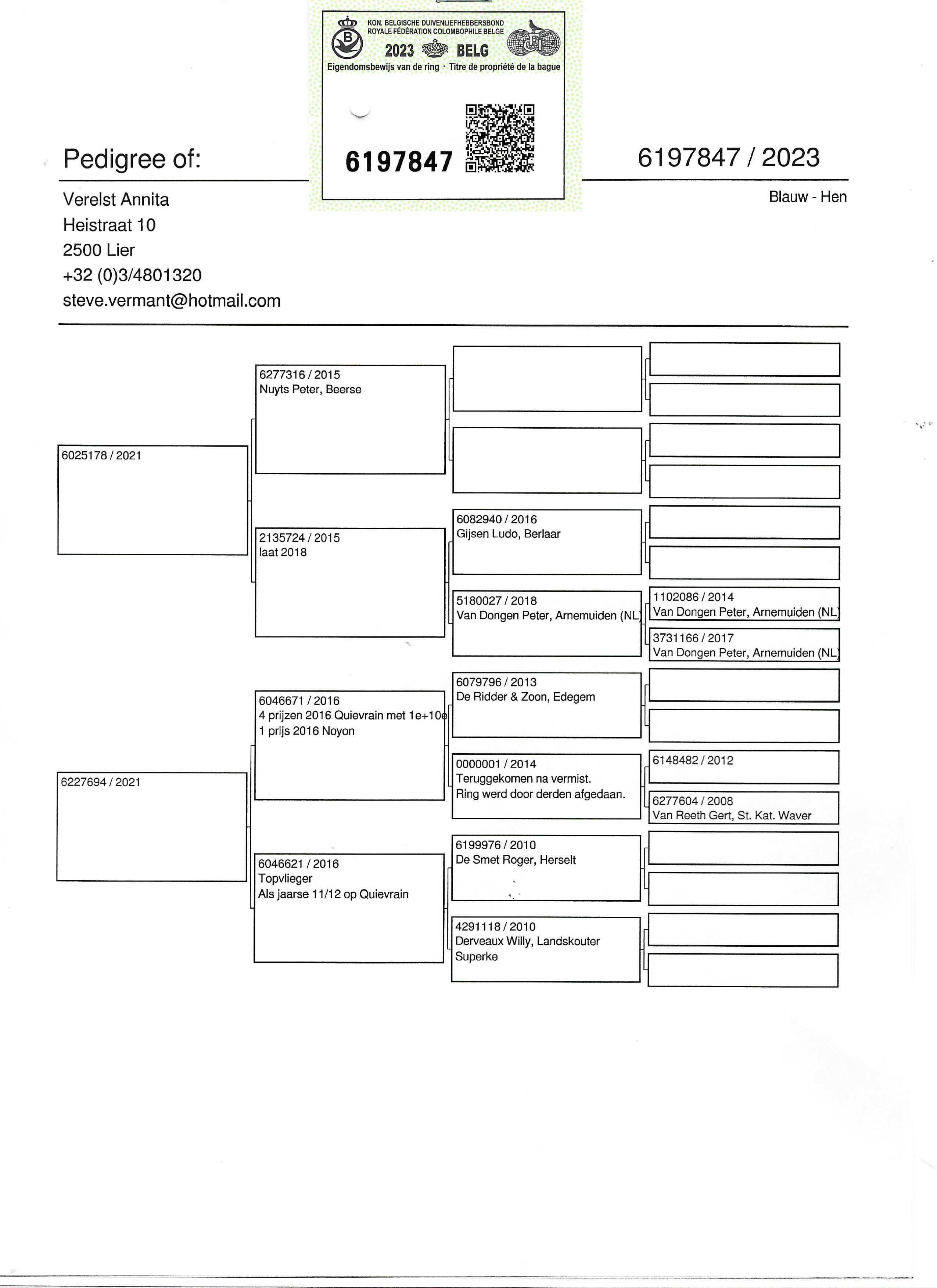 Pigeon pedigree image