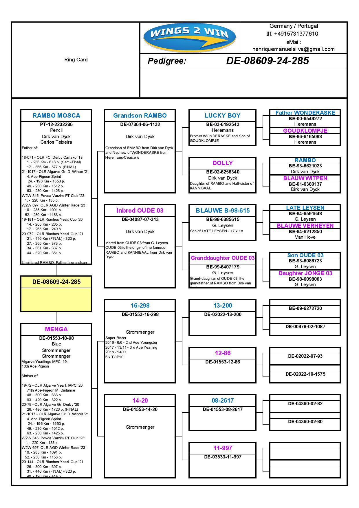 Pigeon pedigree image