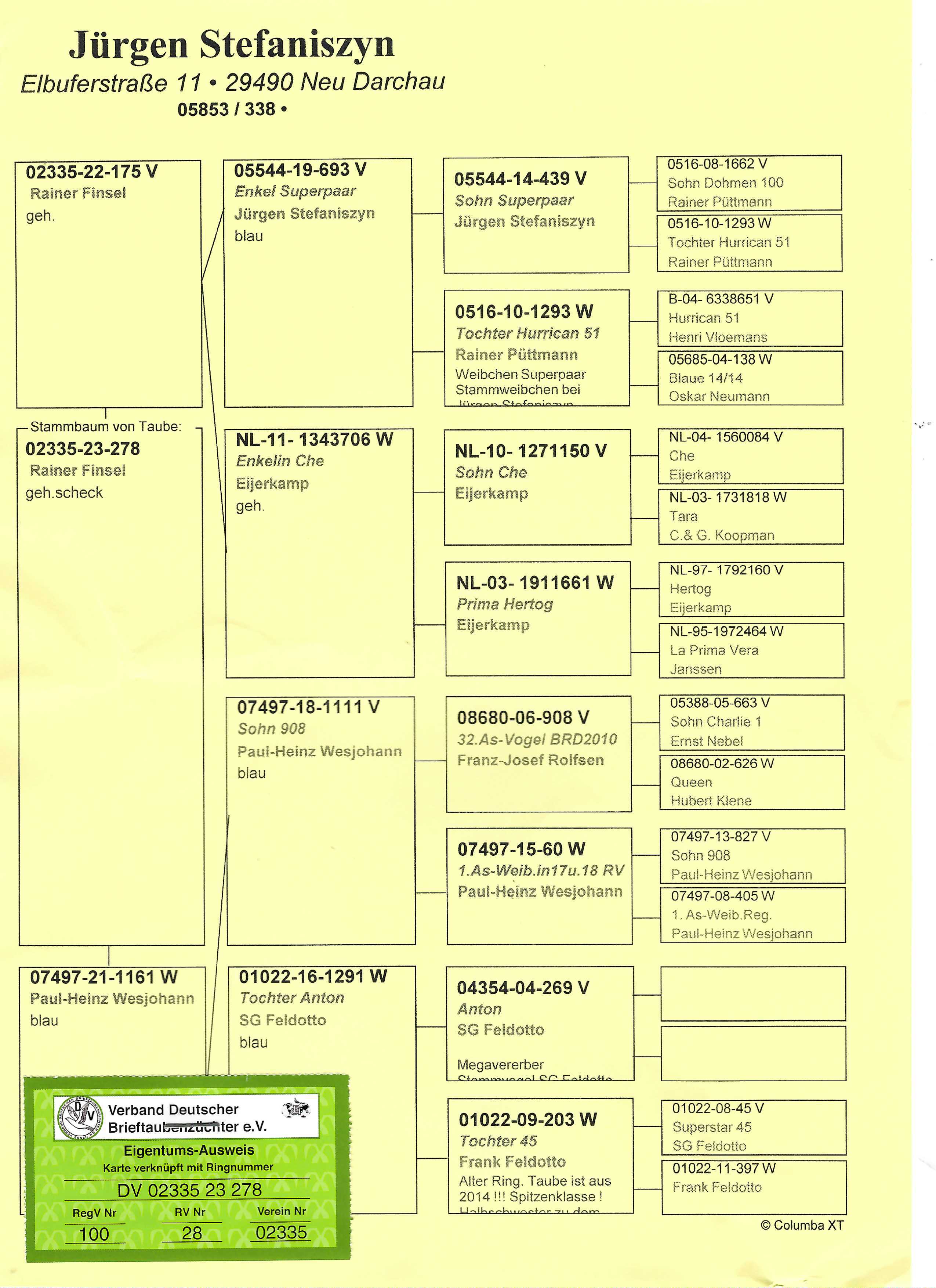 Pigeon pedigree image