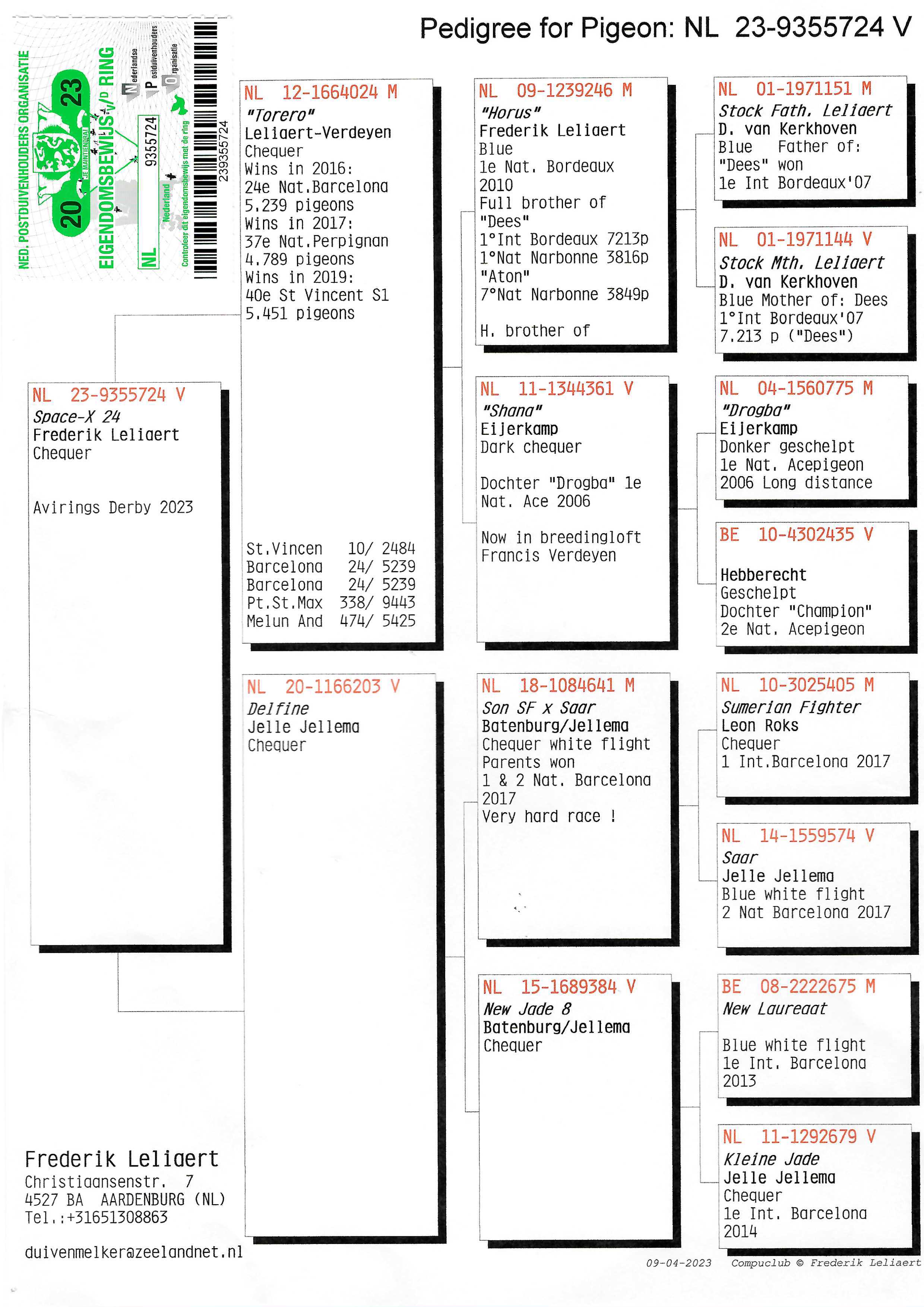 Pigeon pedigree image