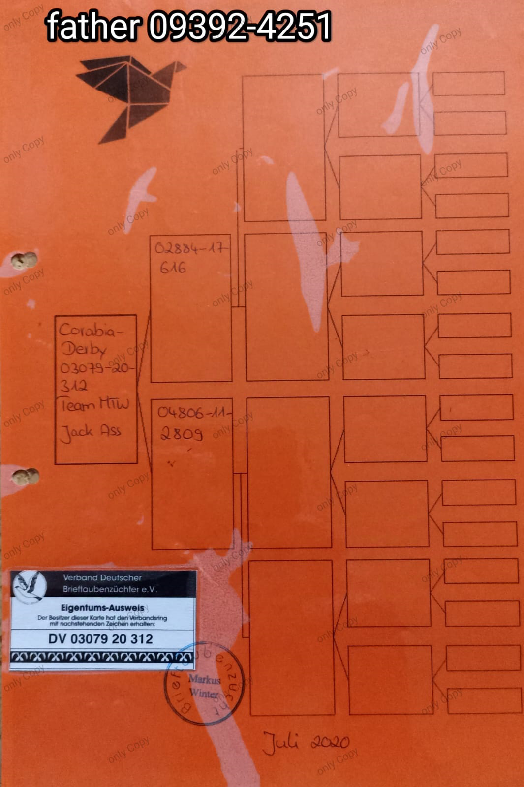 Pigeon pedigree image