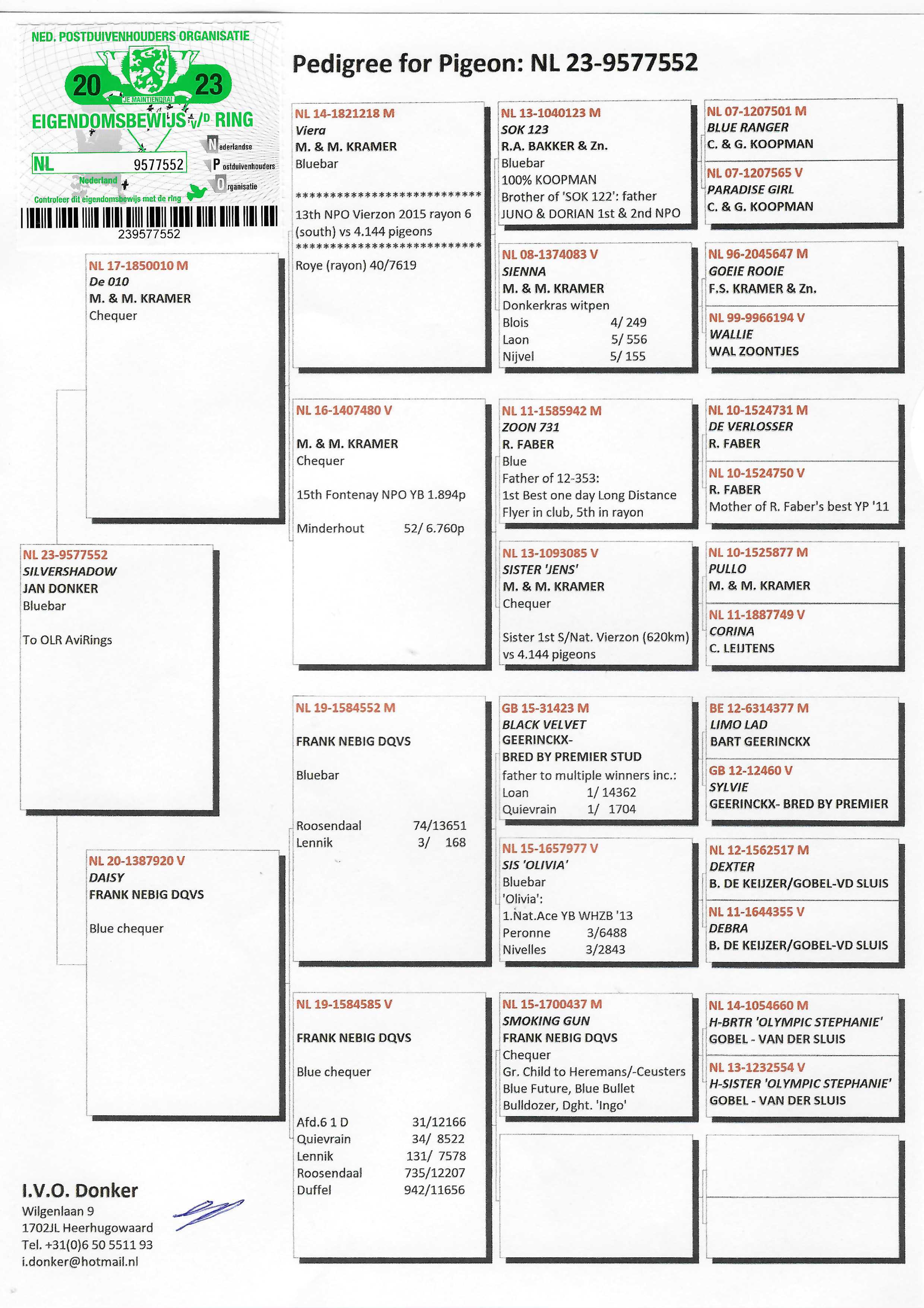 Pigeon pedigree image