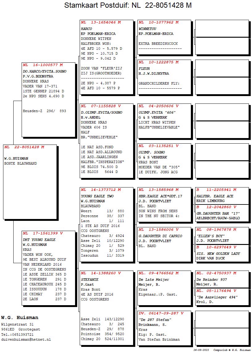 Pigeon pedigree image