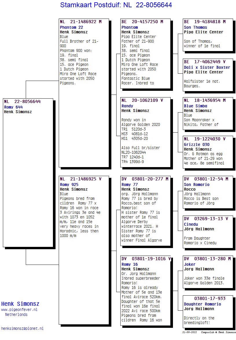 Pigeon pedigree image