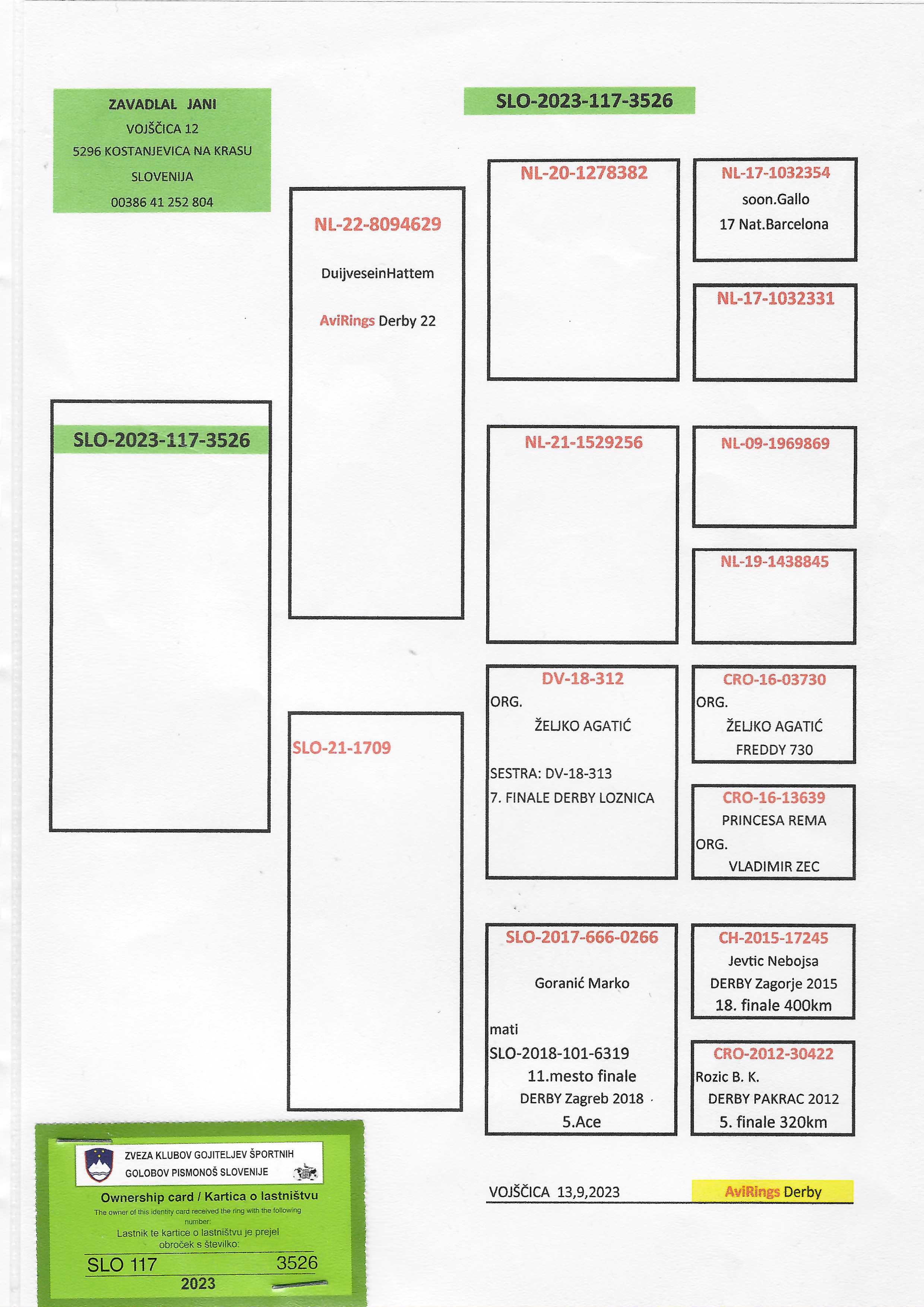 Pigeon pedigree image
