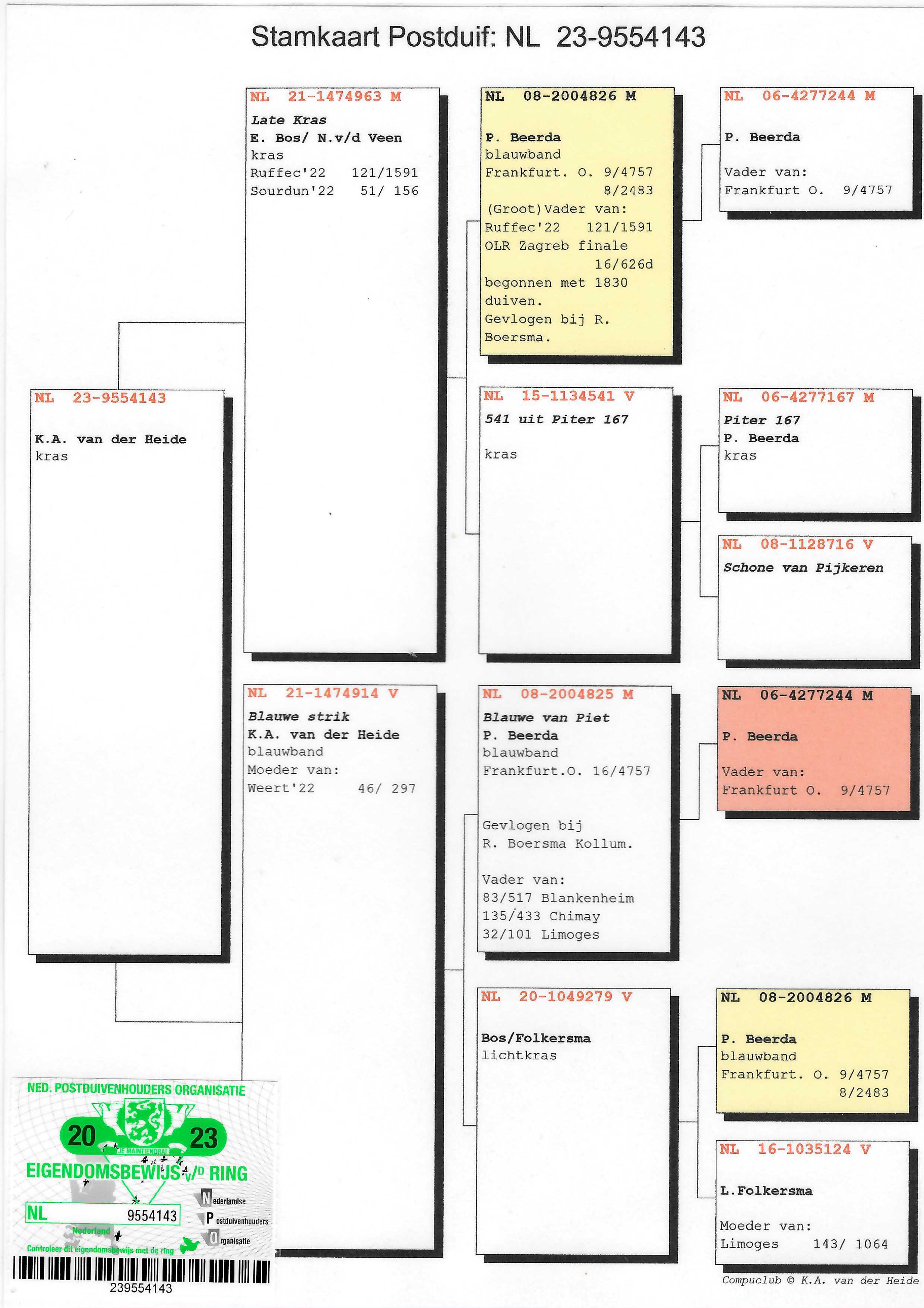 Pigeon pedigree image