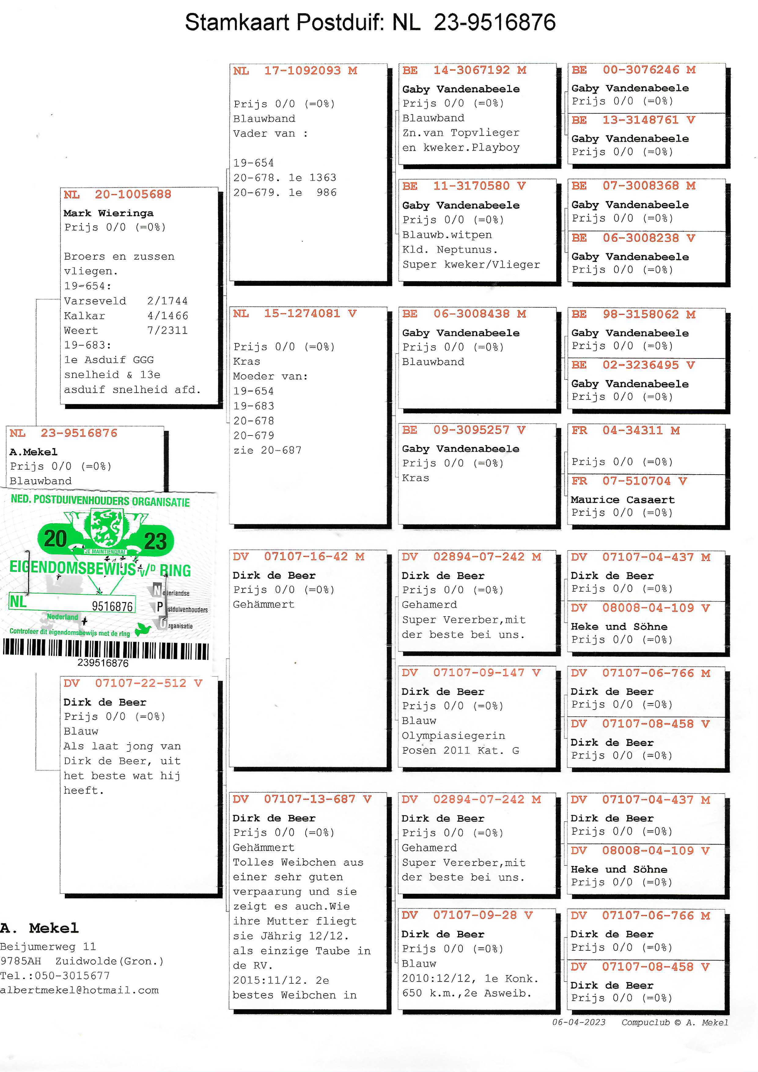 Pigeon pedigree image