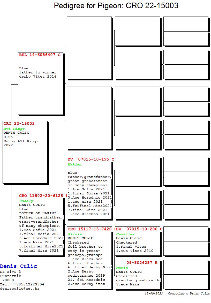 Pigeon pedigree image