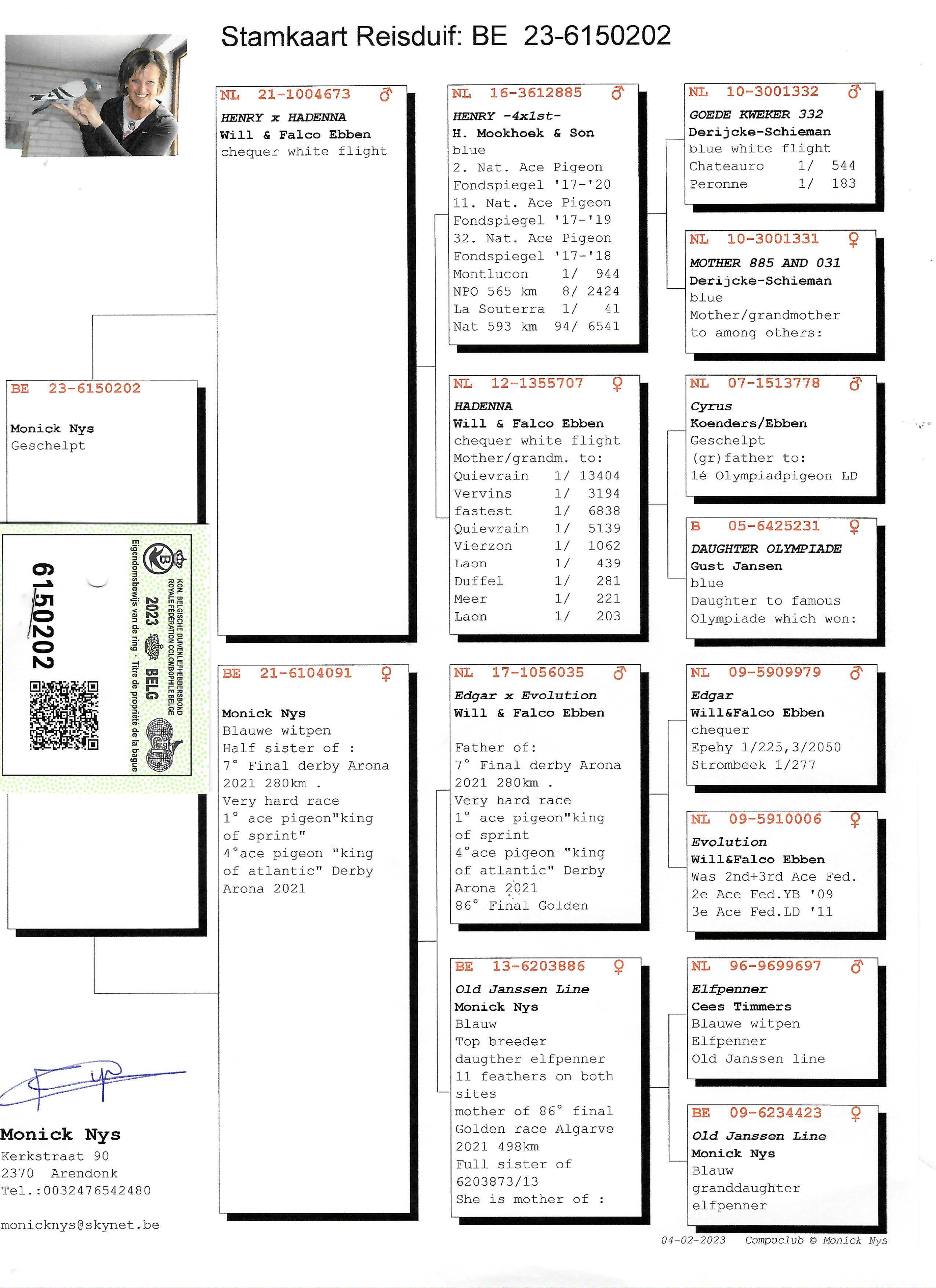 Pigeon pedigree image