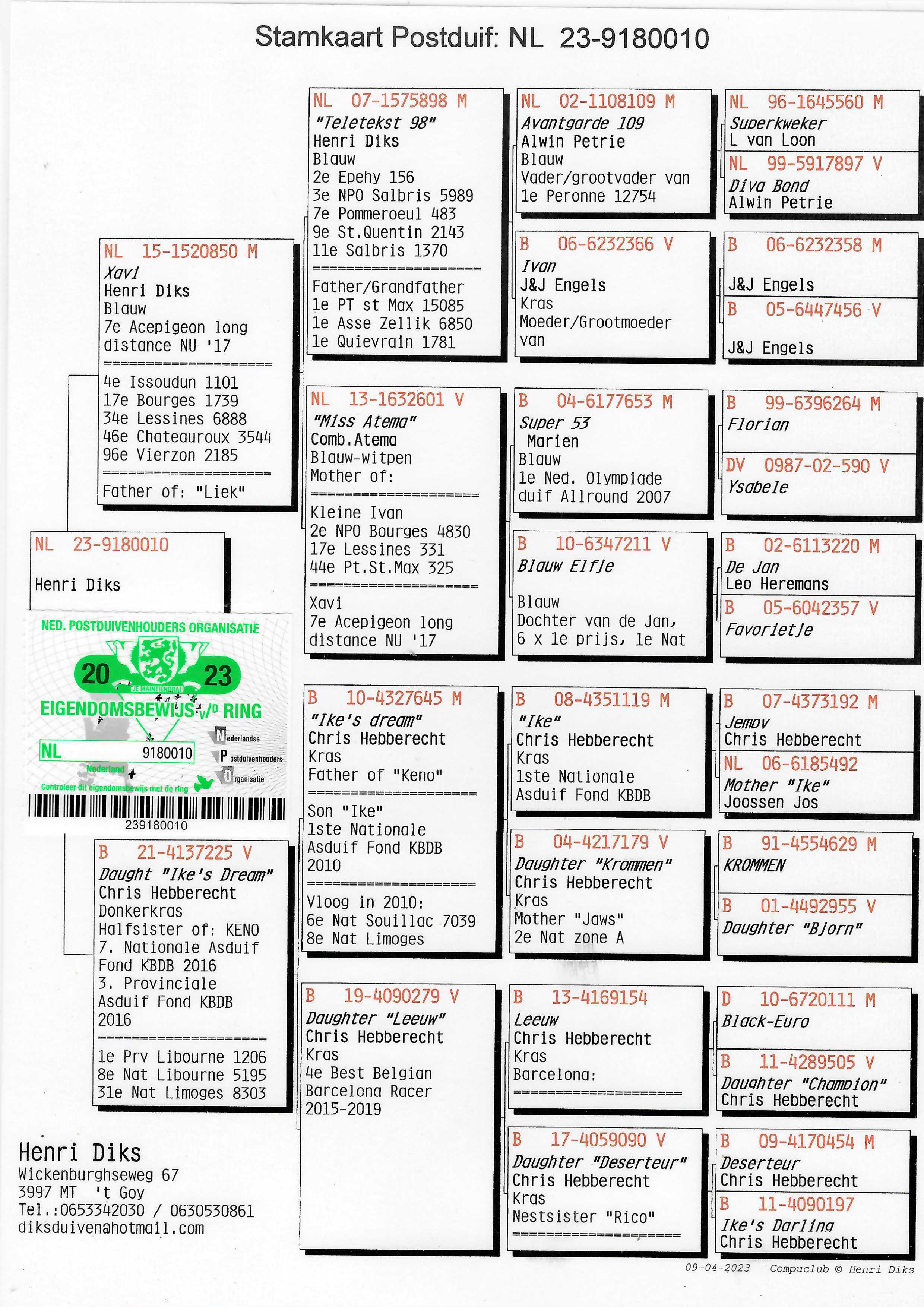 Pigeon pedigree image