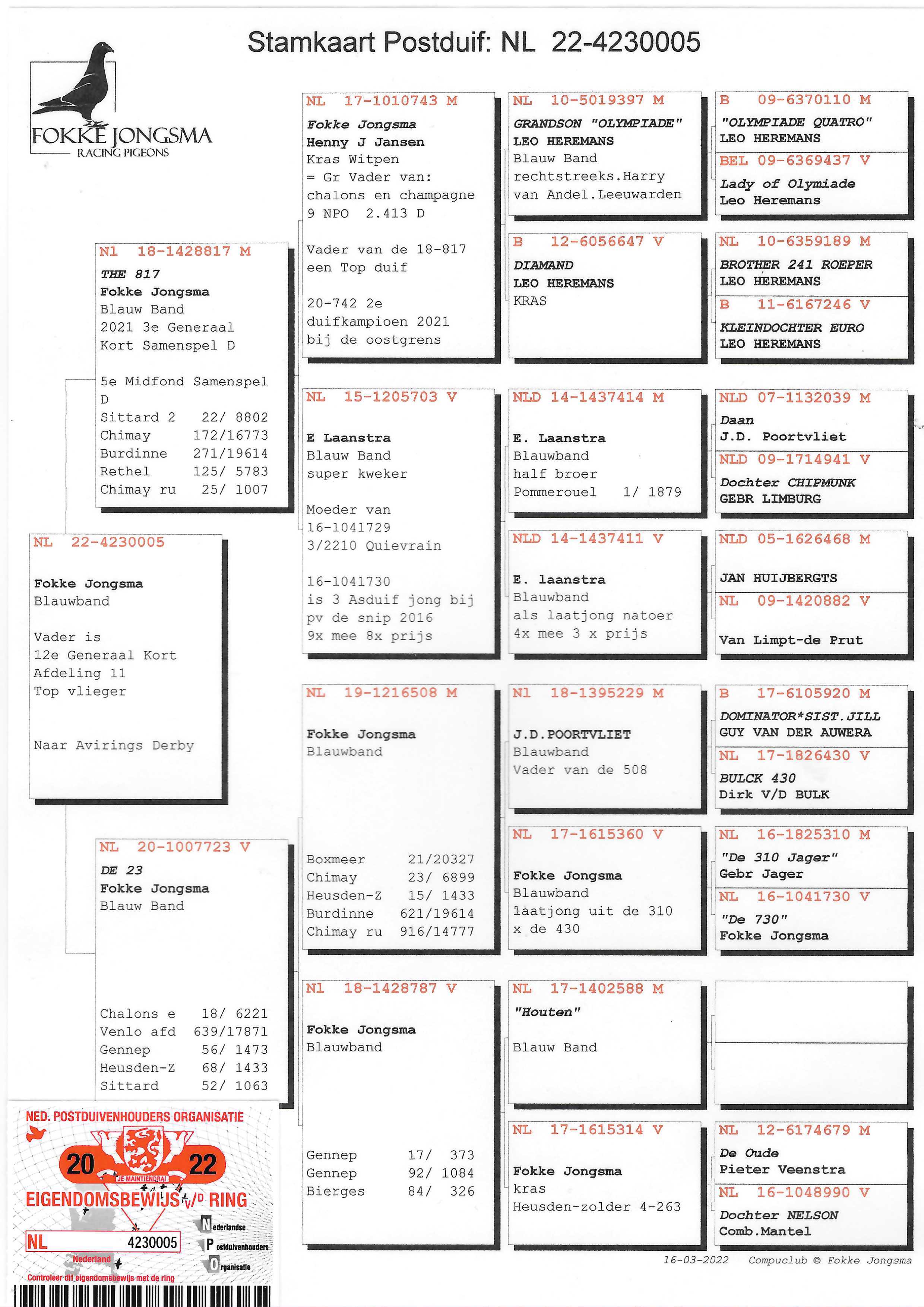 Pigeon pedigree image