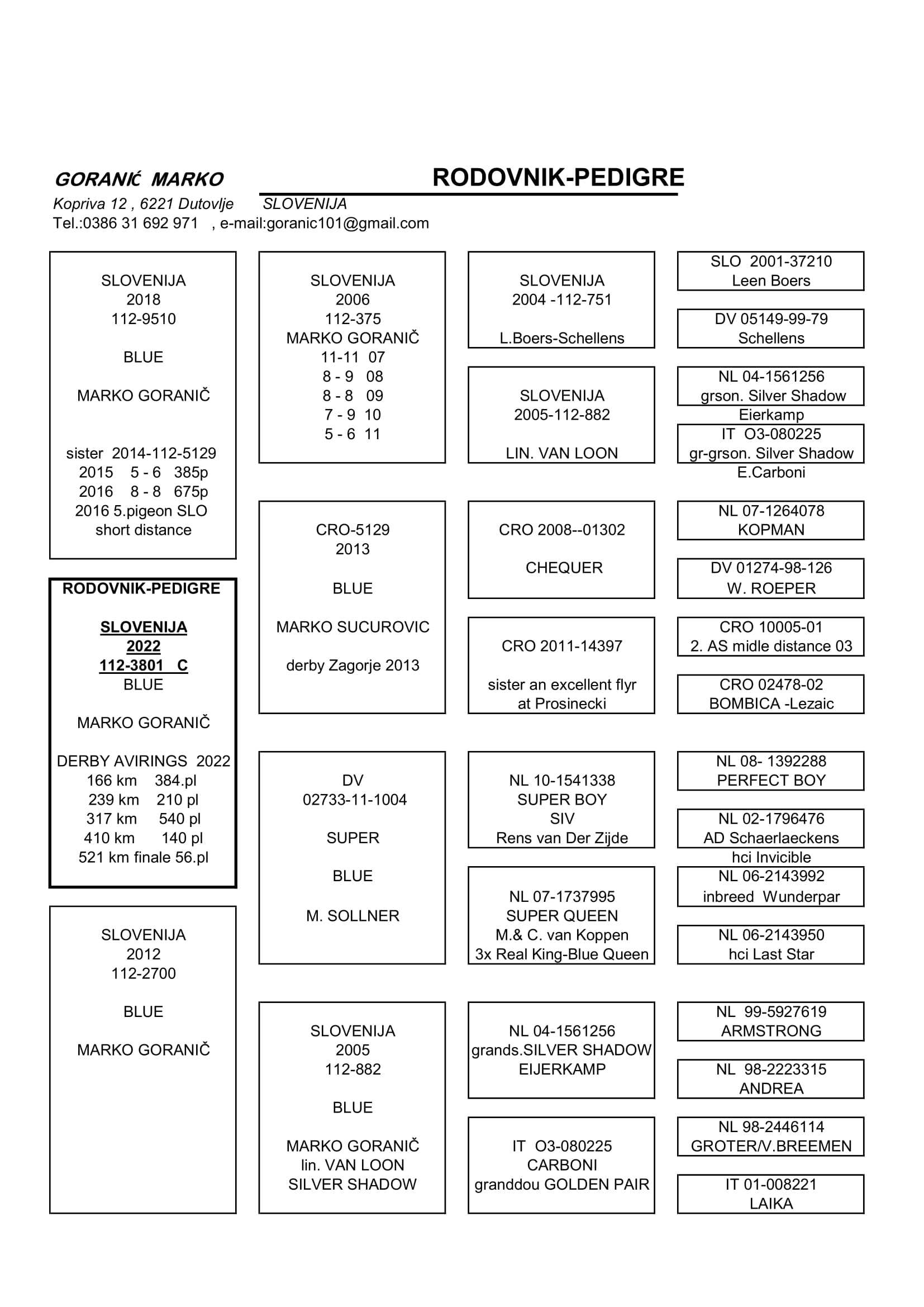 Pigeon pedigree image