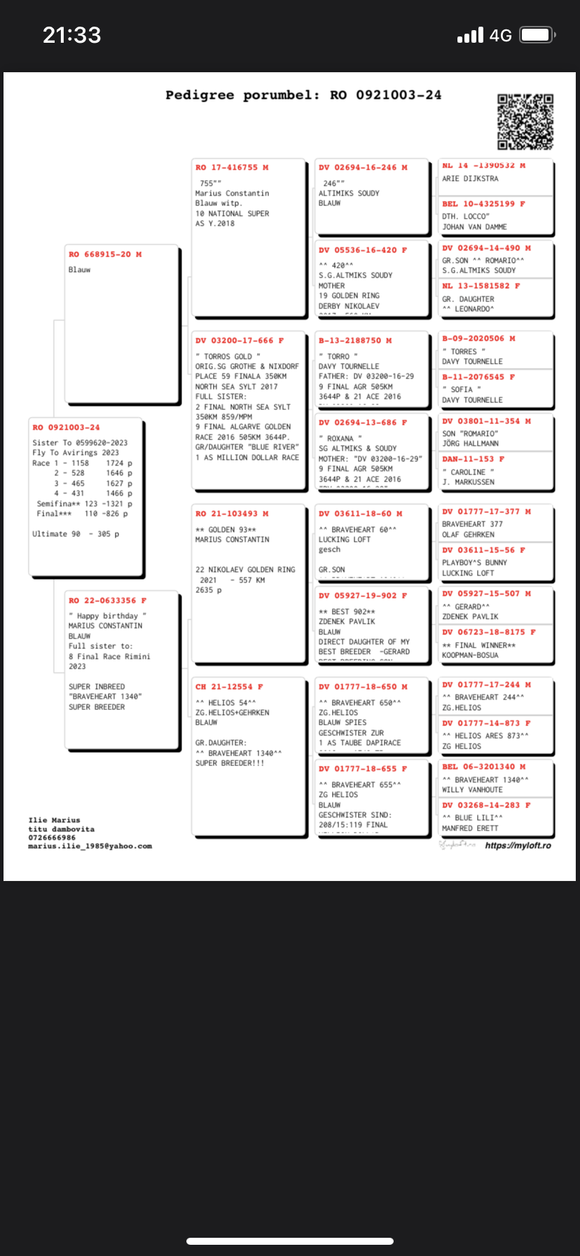 Pigeon pedigree image