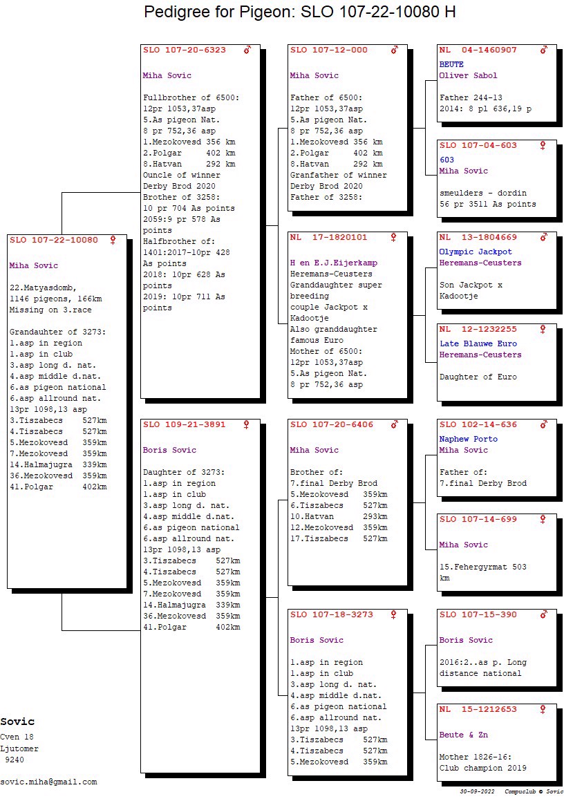 Pigeon pedigree image