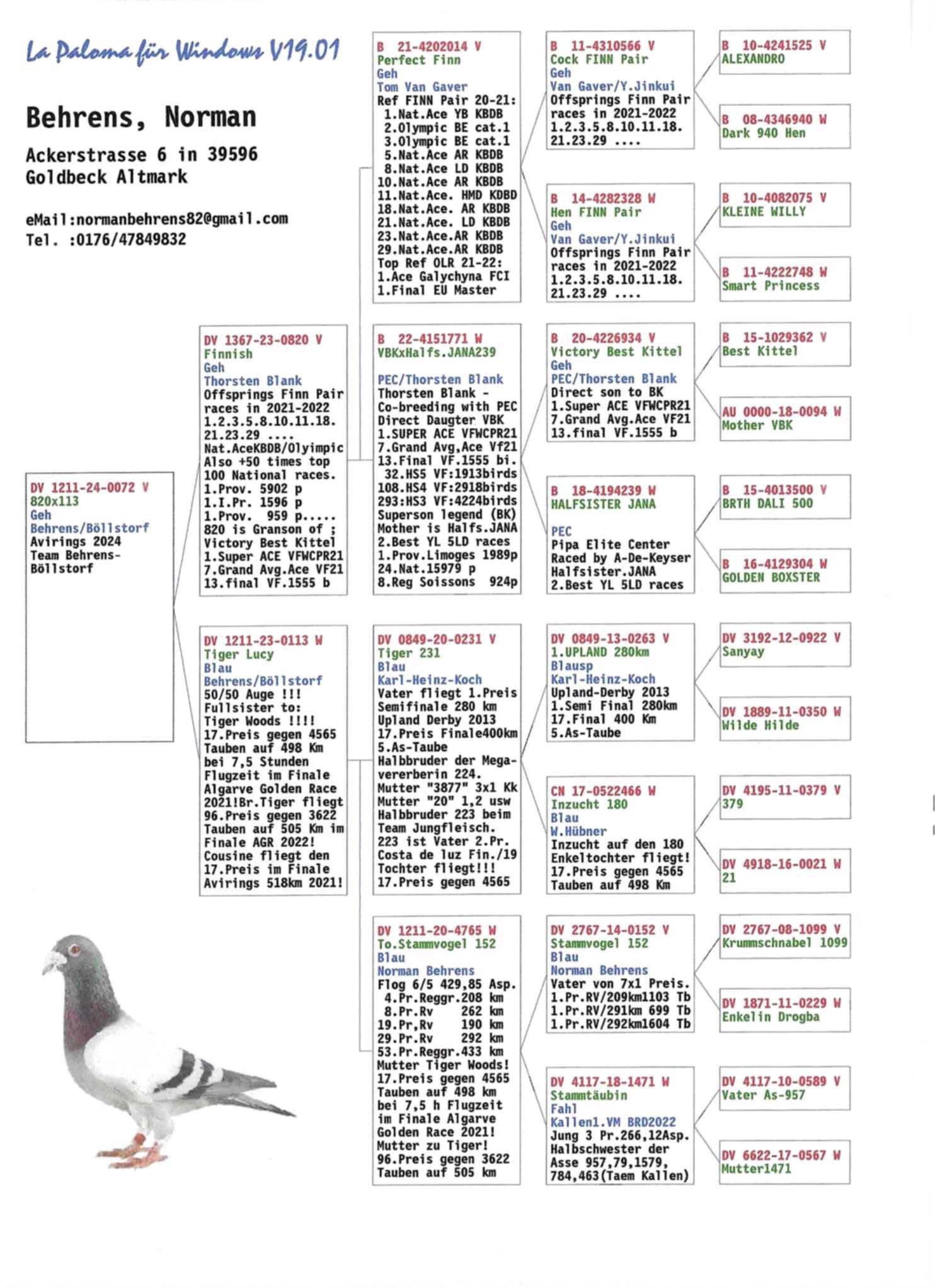 Pigeon pedigree image