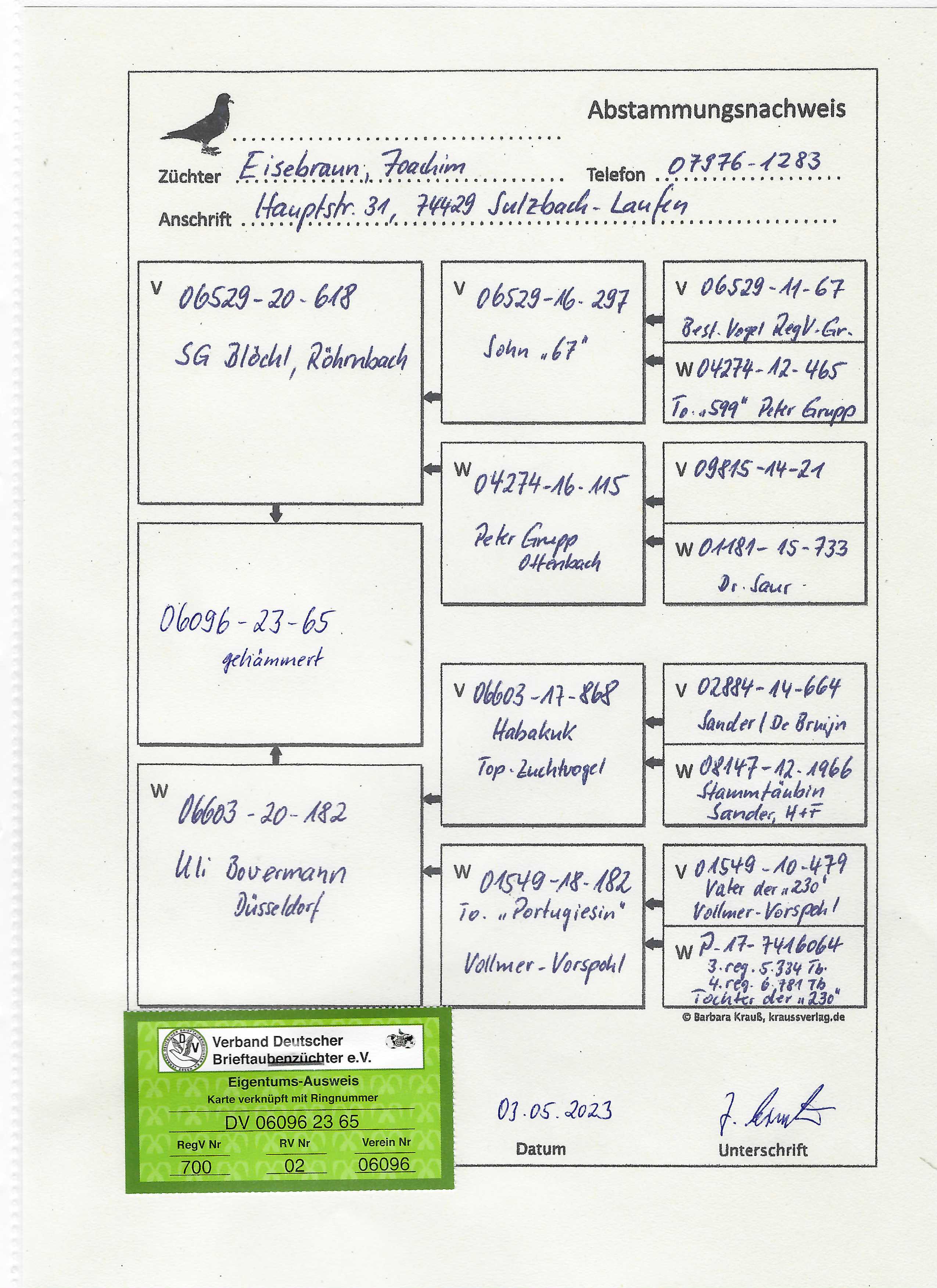 Pigeon pedigree image
