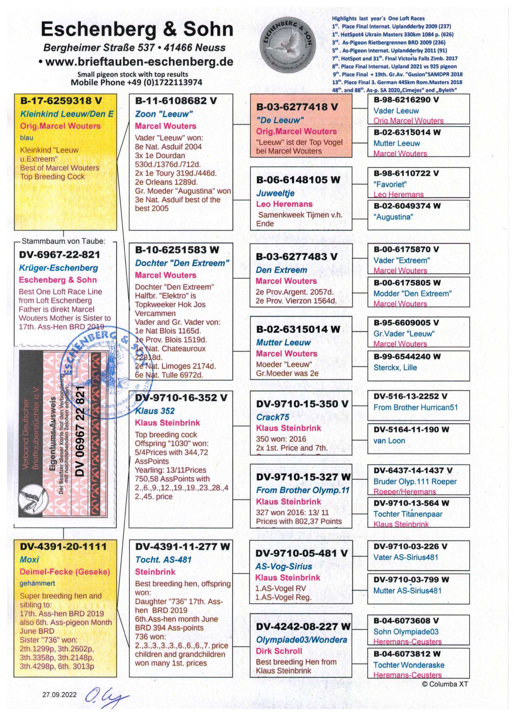 Pigeon pedigree image