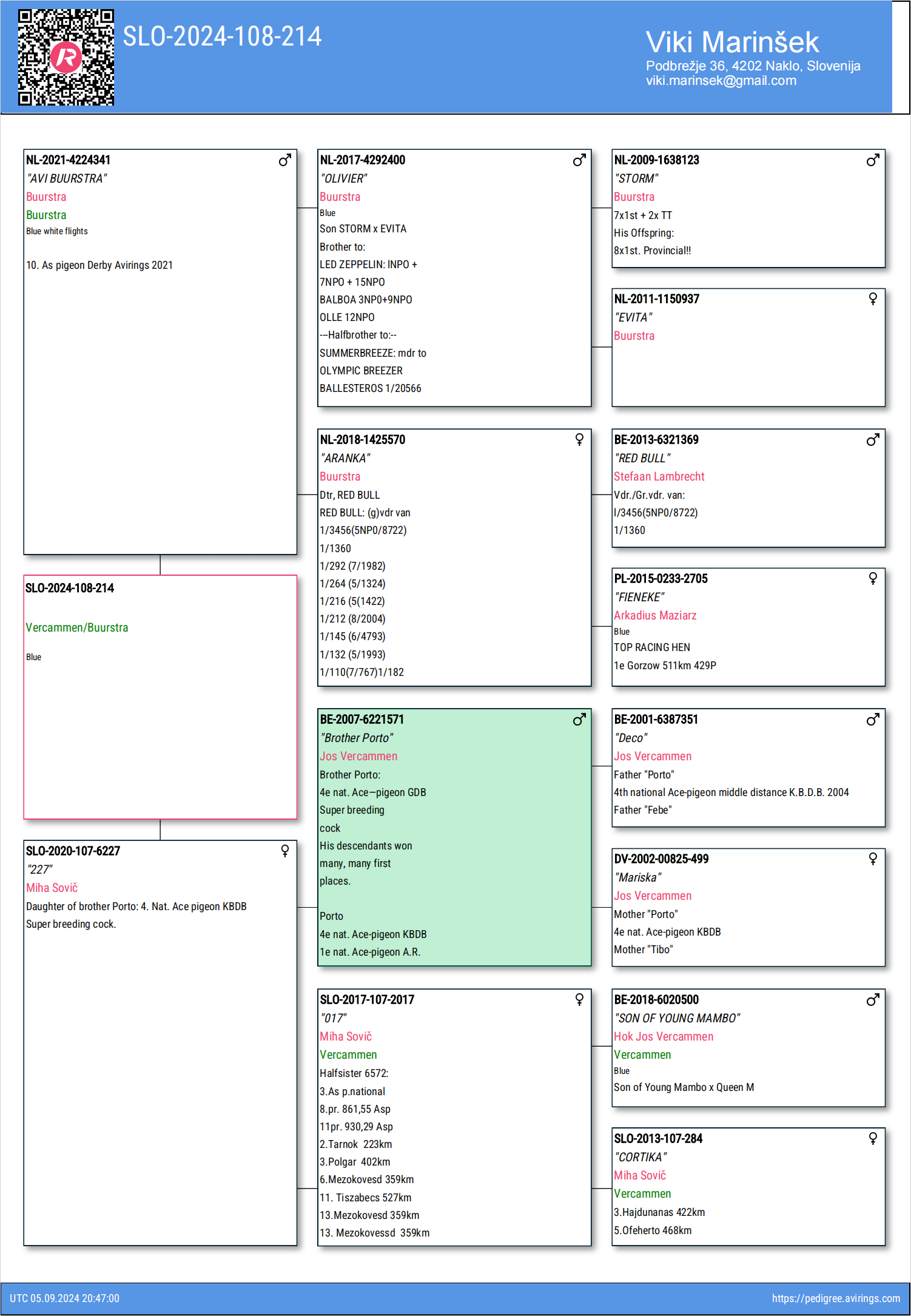 Pigeon pedigree image