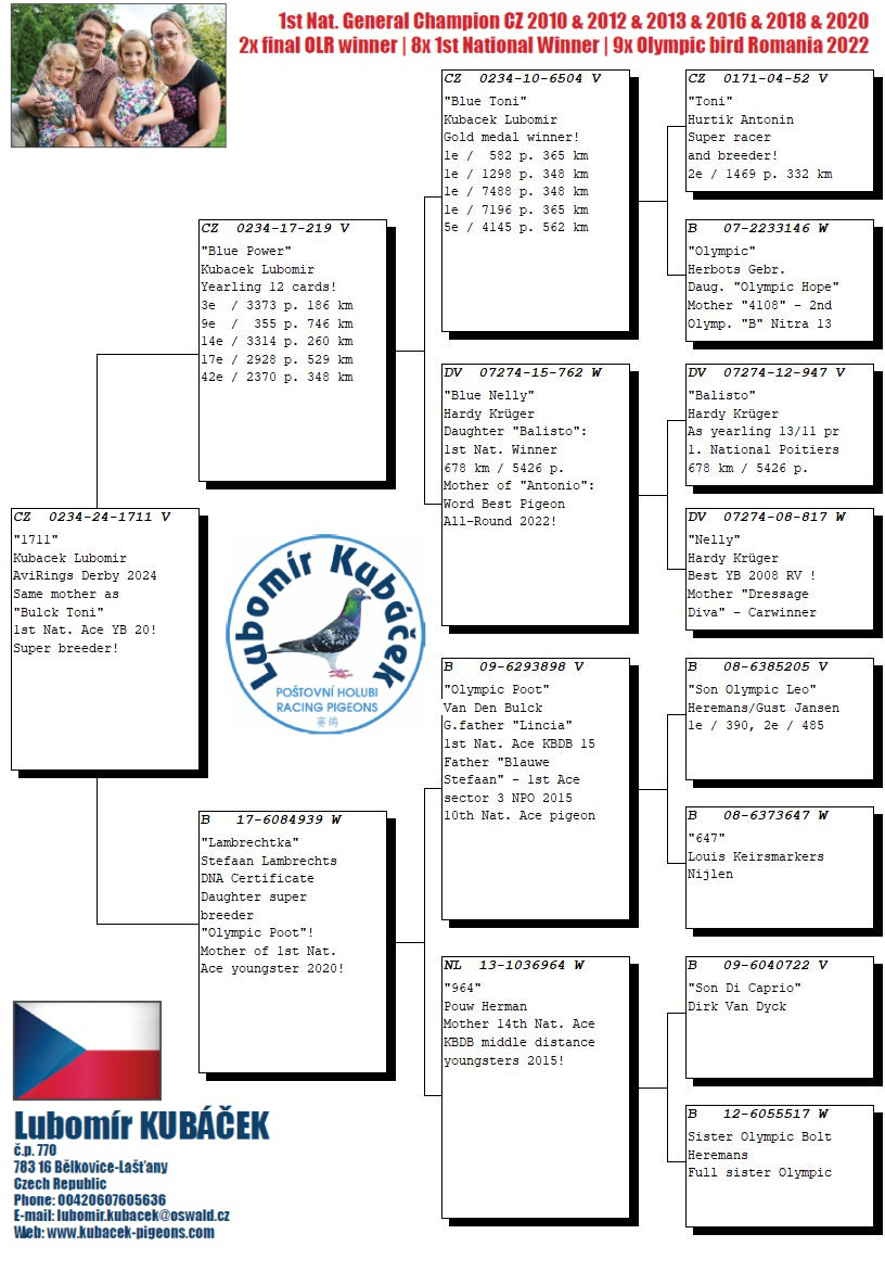 Pigeon pedigree image