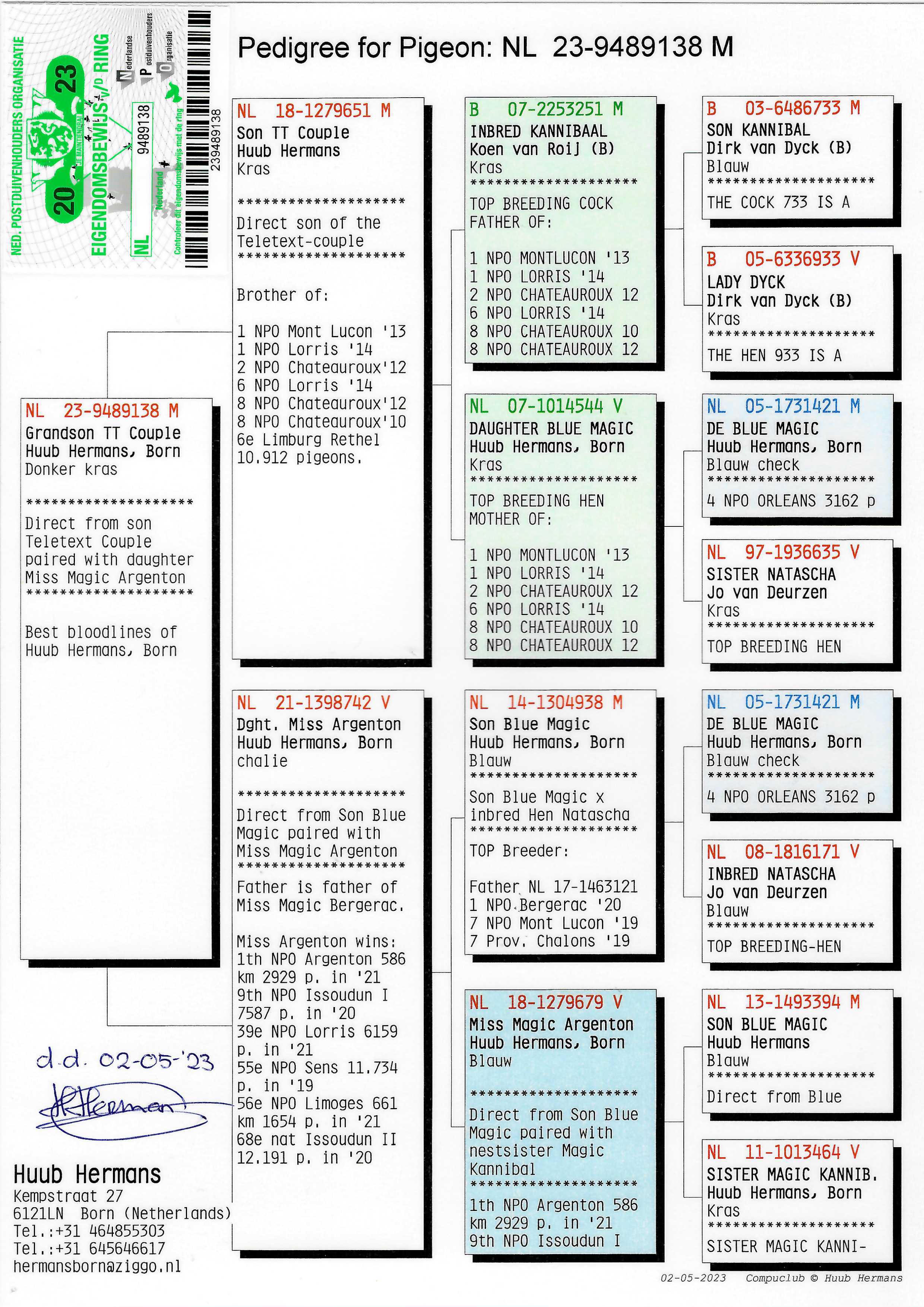 Pigeon pedigree image