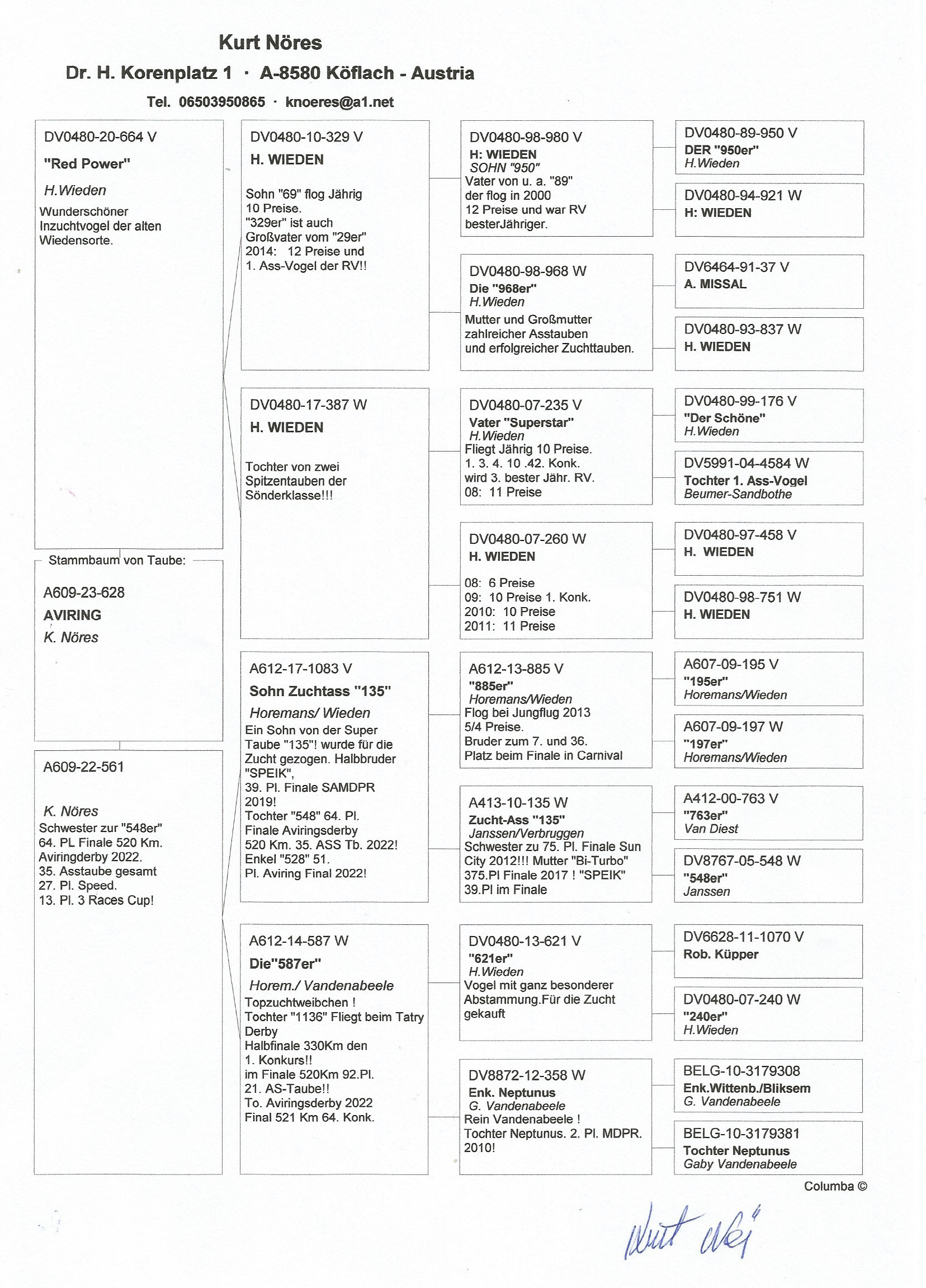 Pigeon pedigree image
