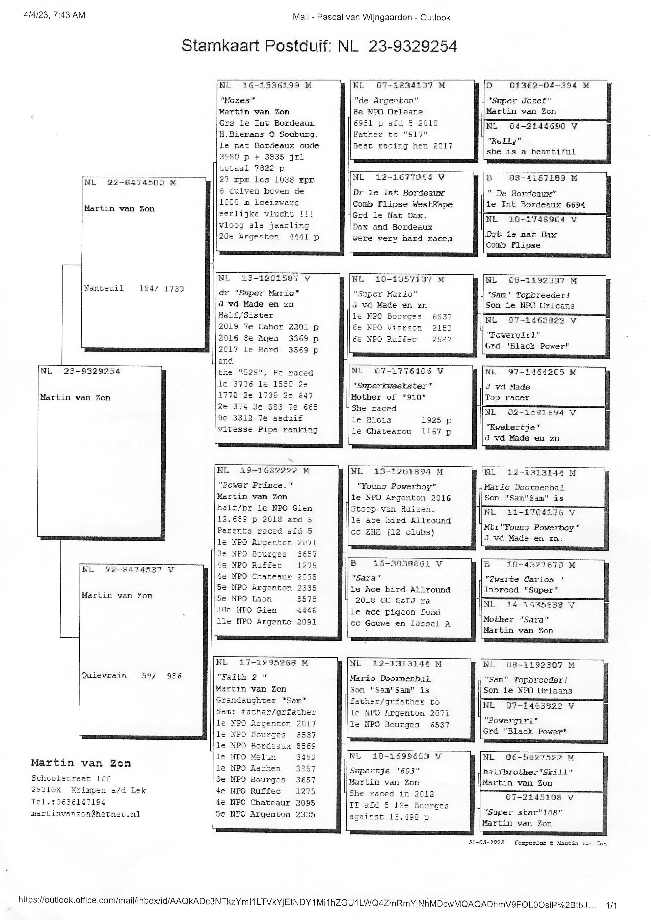Pigeon pedigree image