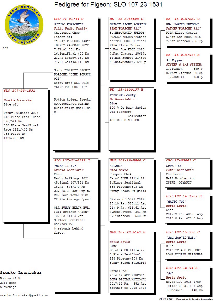 Pigeon pedigree image