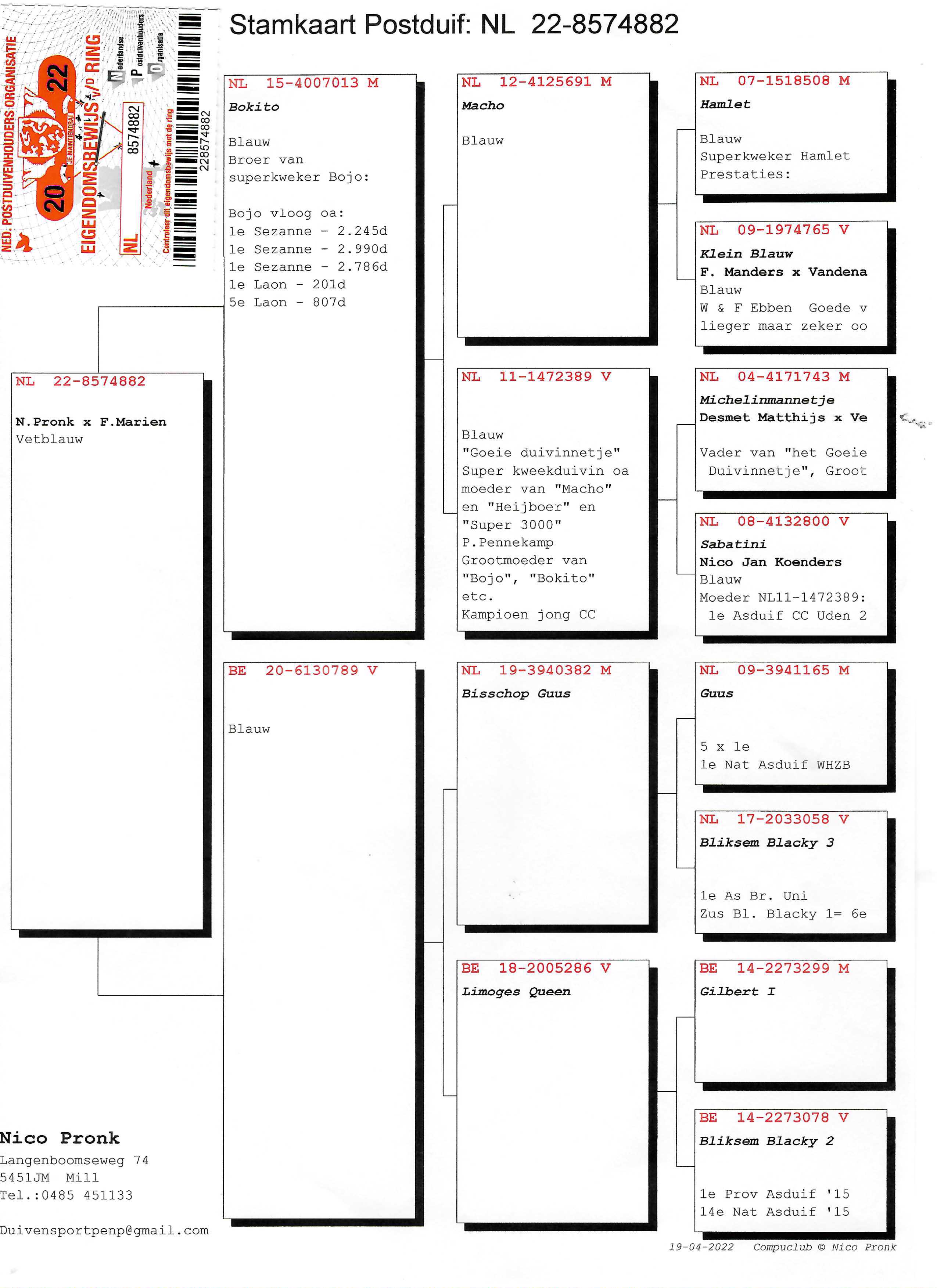 Pigeon pedigree image