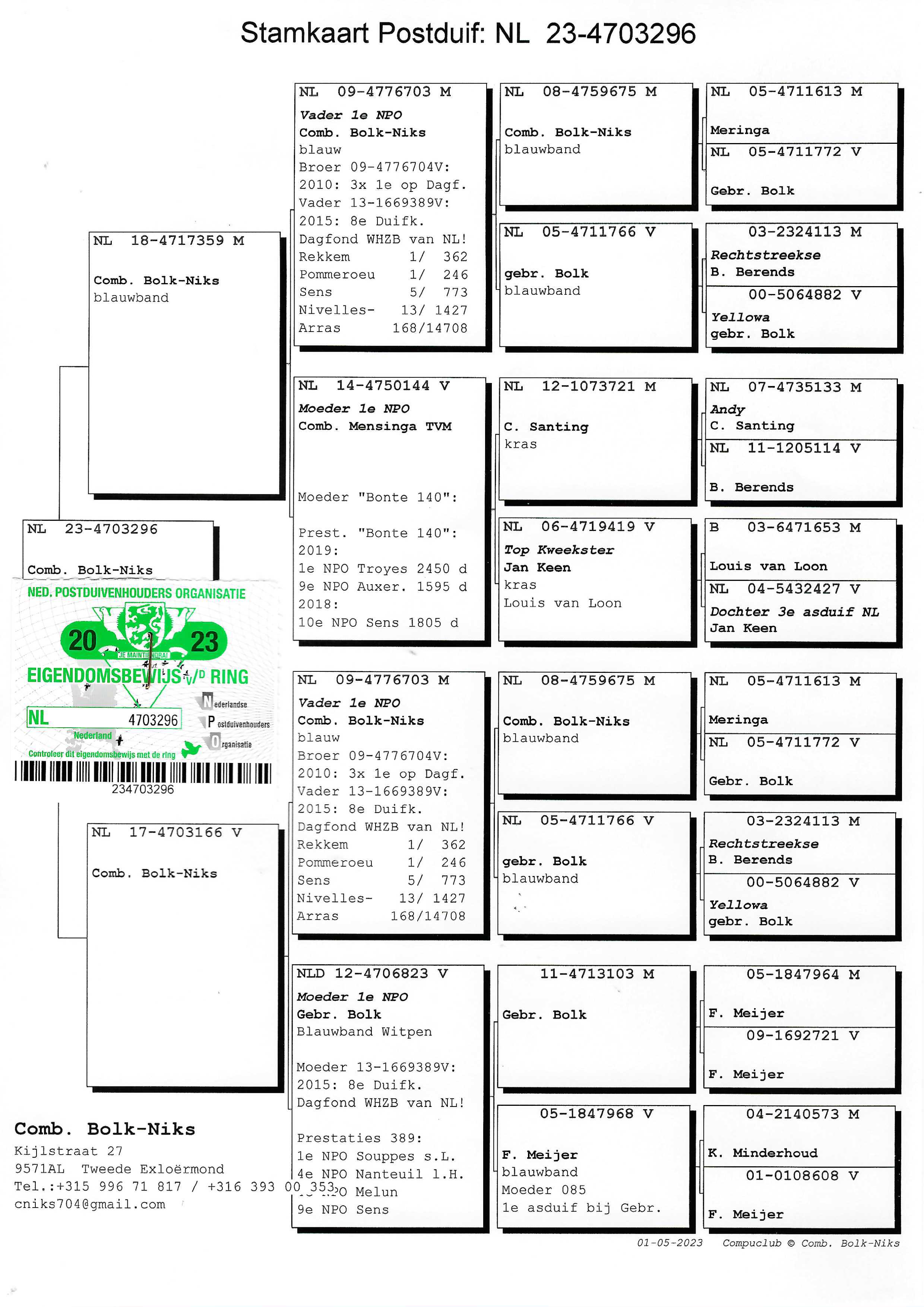 Pigeon pedigree image