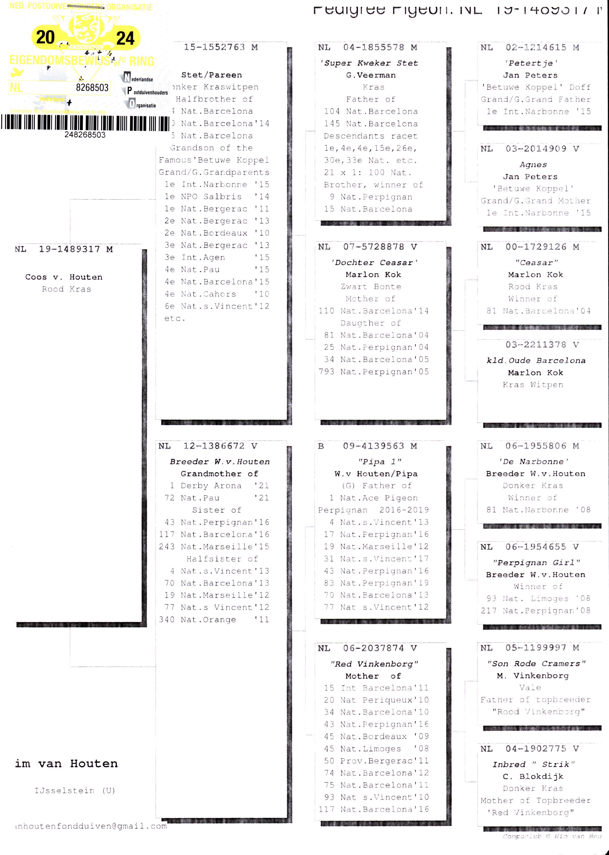 Pigeon pedigree image