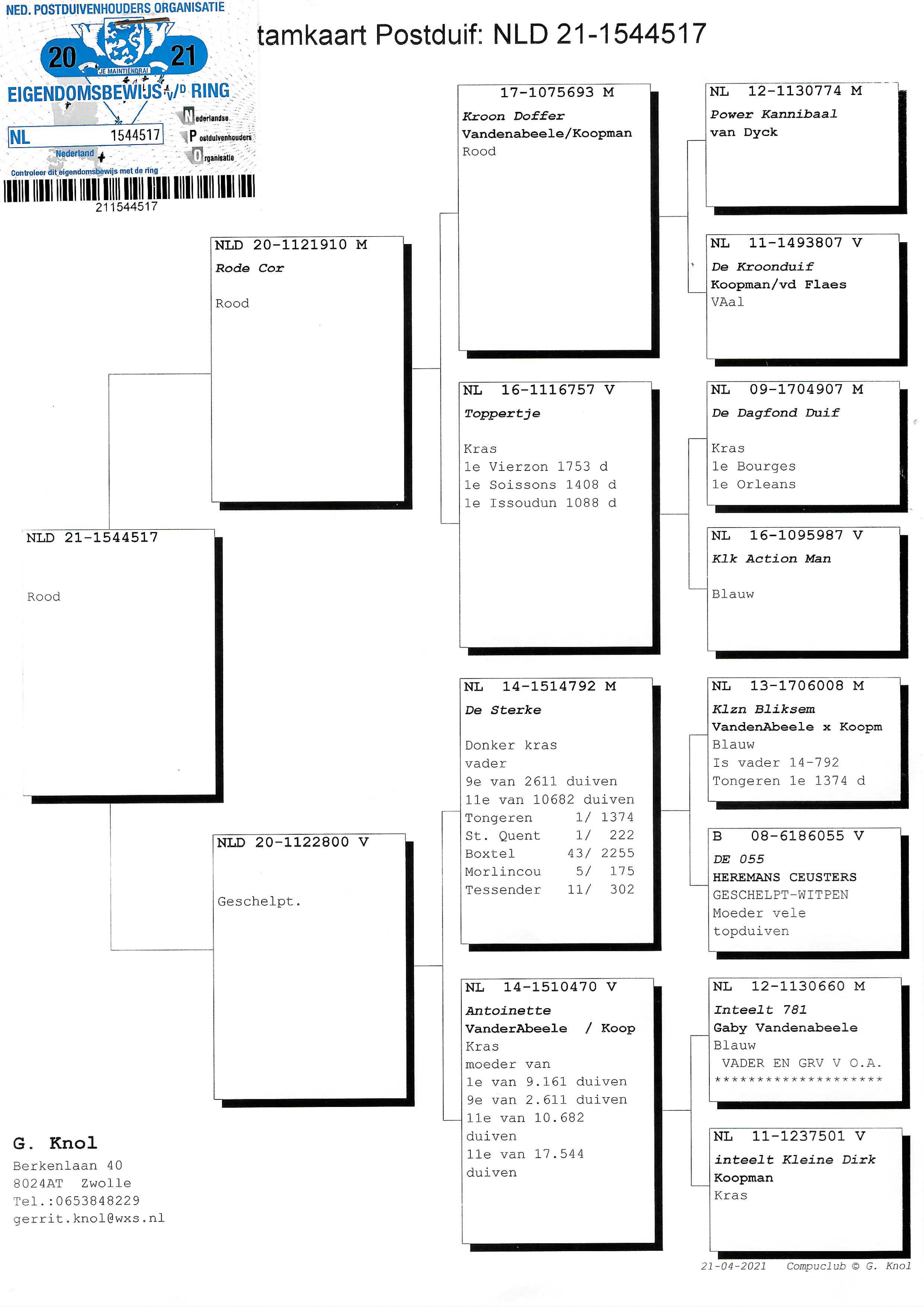 Pigeon pedigree image