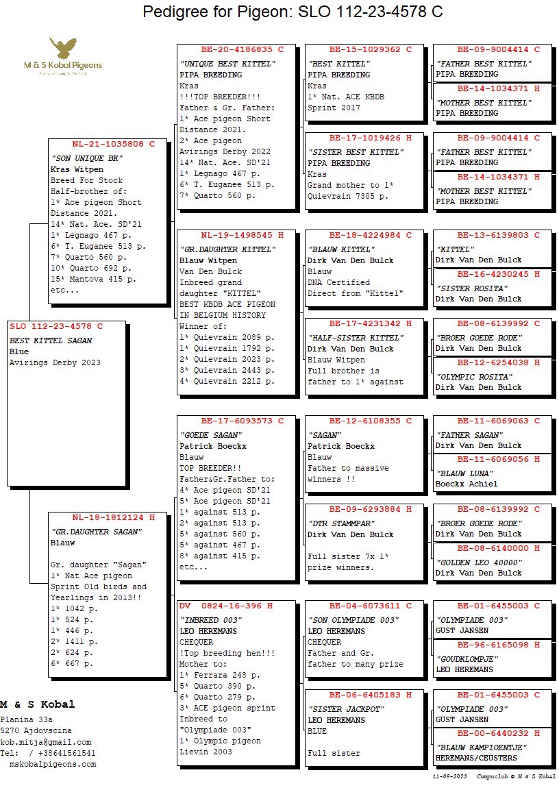 Pigeon pedigree image