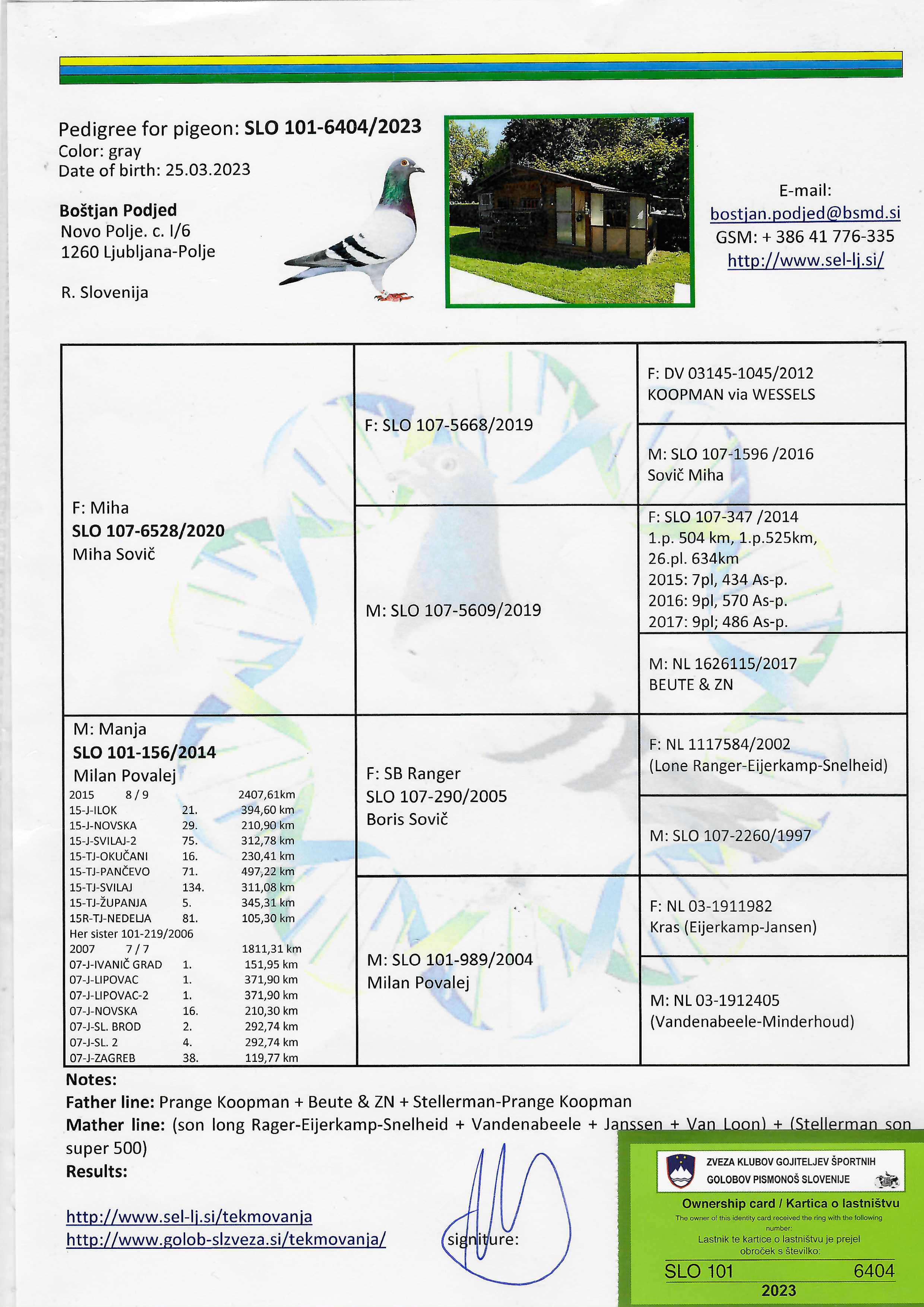 Pigeon pedigree image