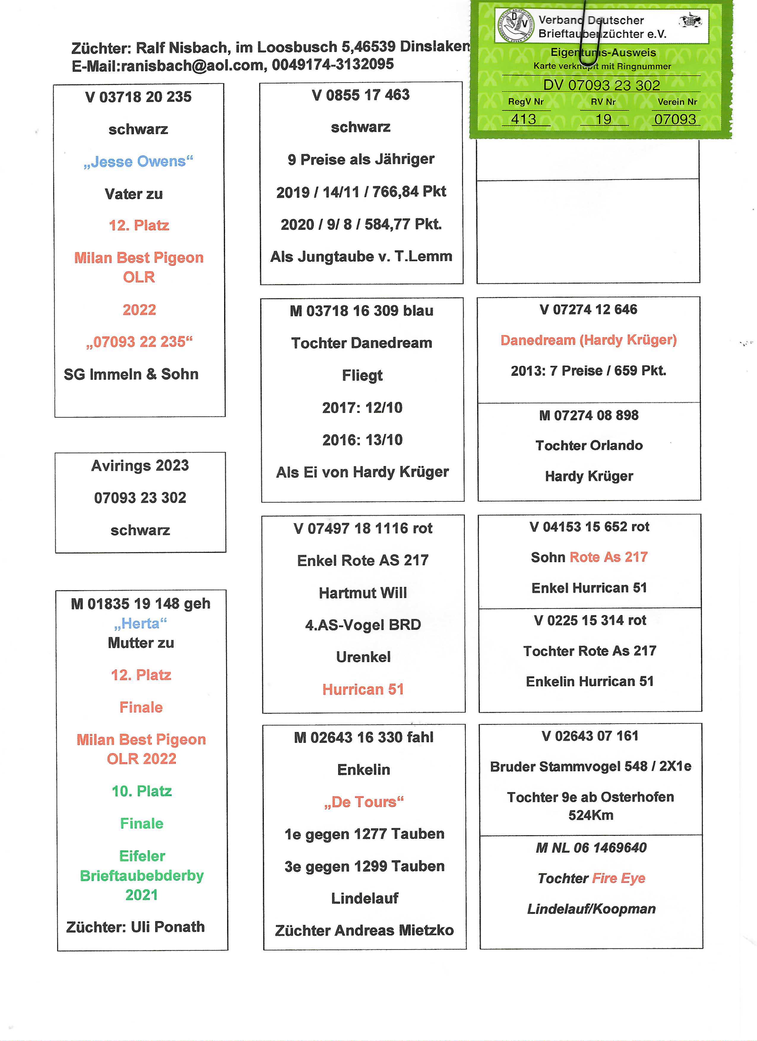 Pigeon pedigree image