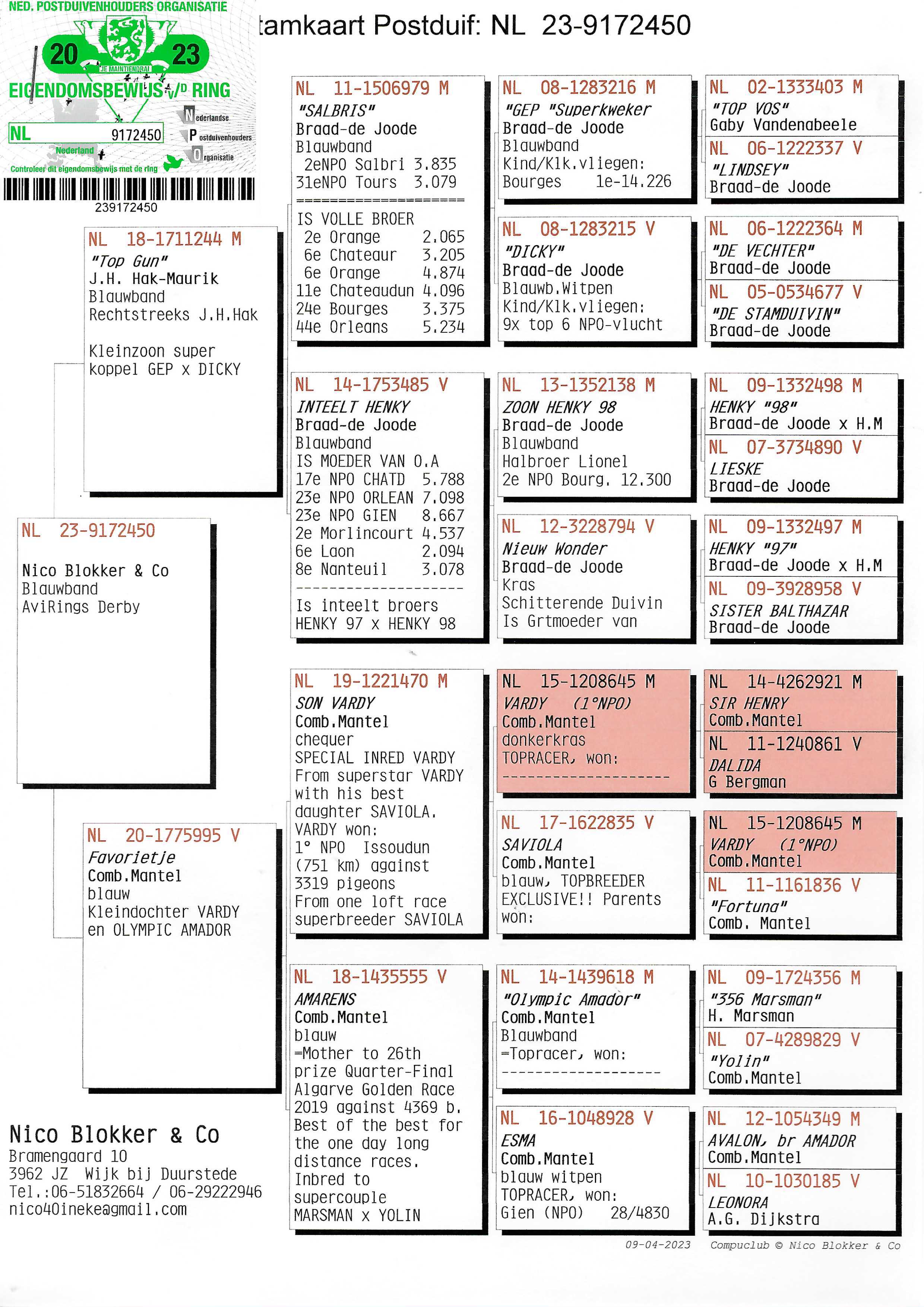 Pigeon pedigree image