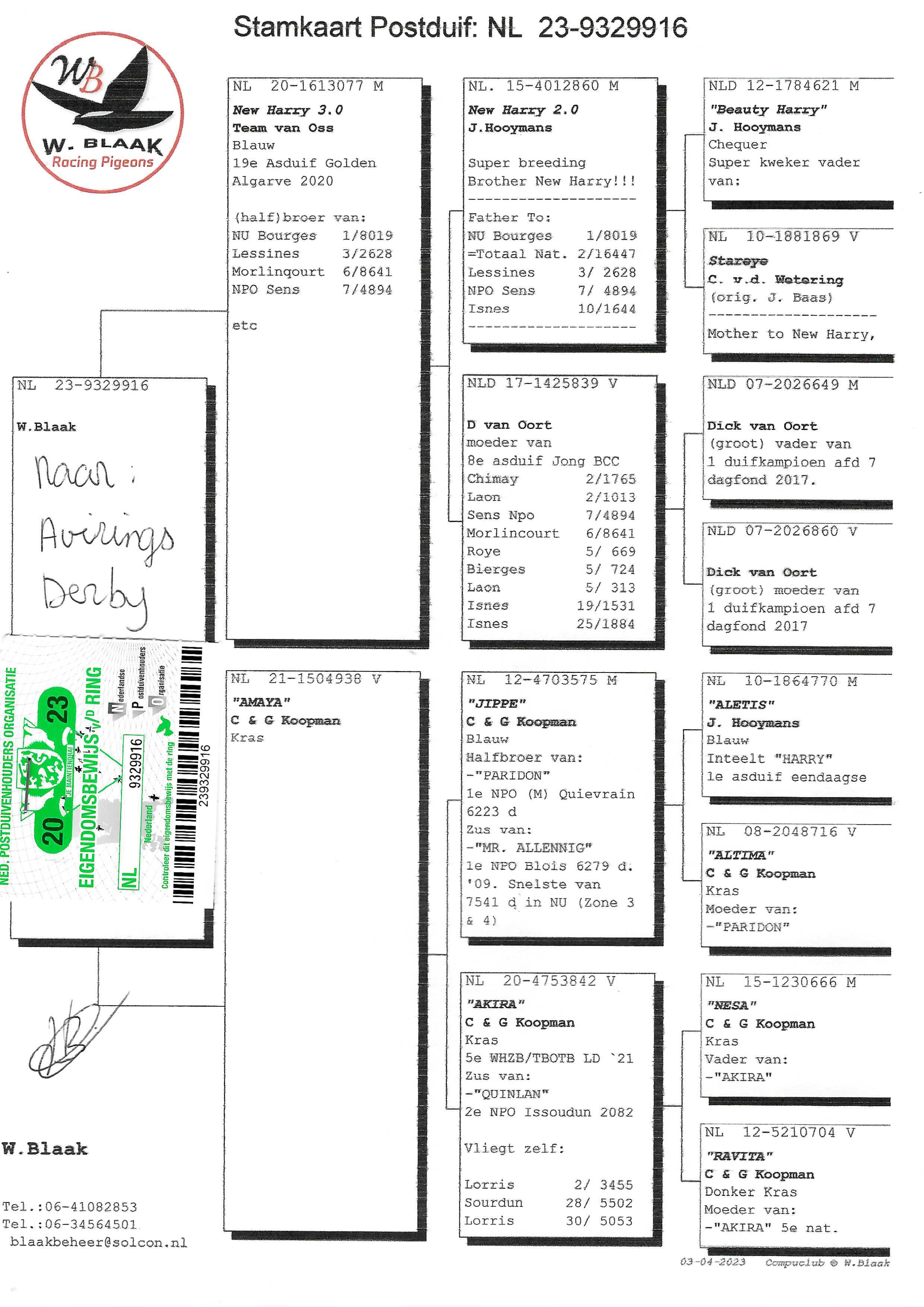 Pigeon pedigree image