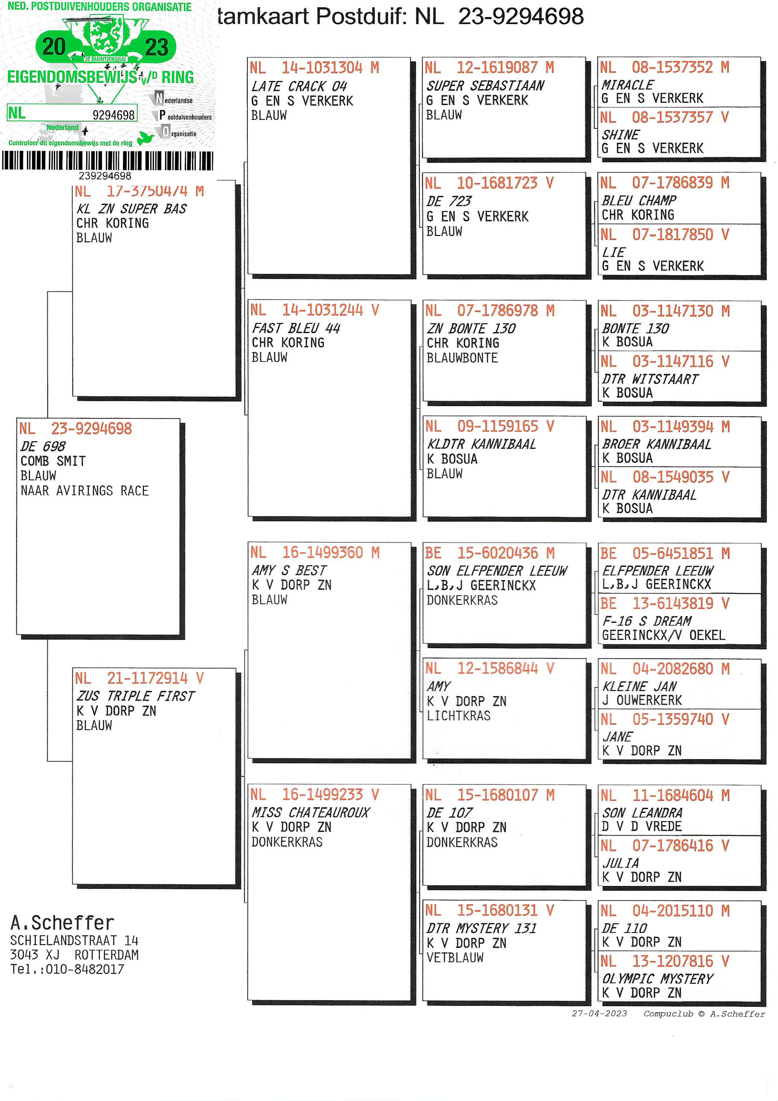 Pigeon pedigree image