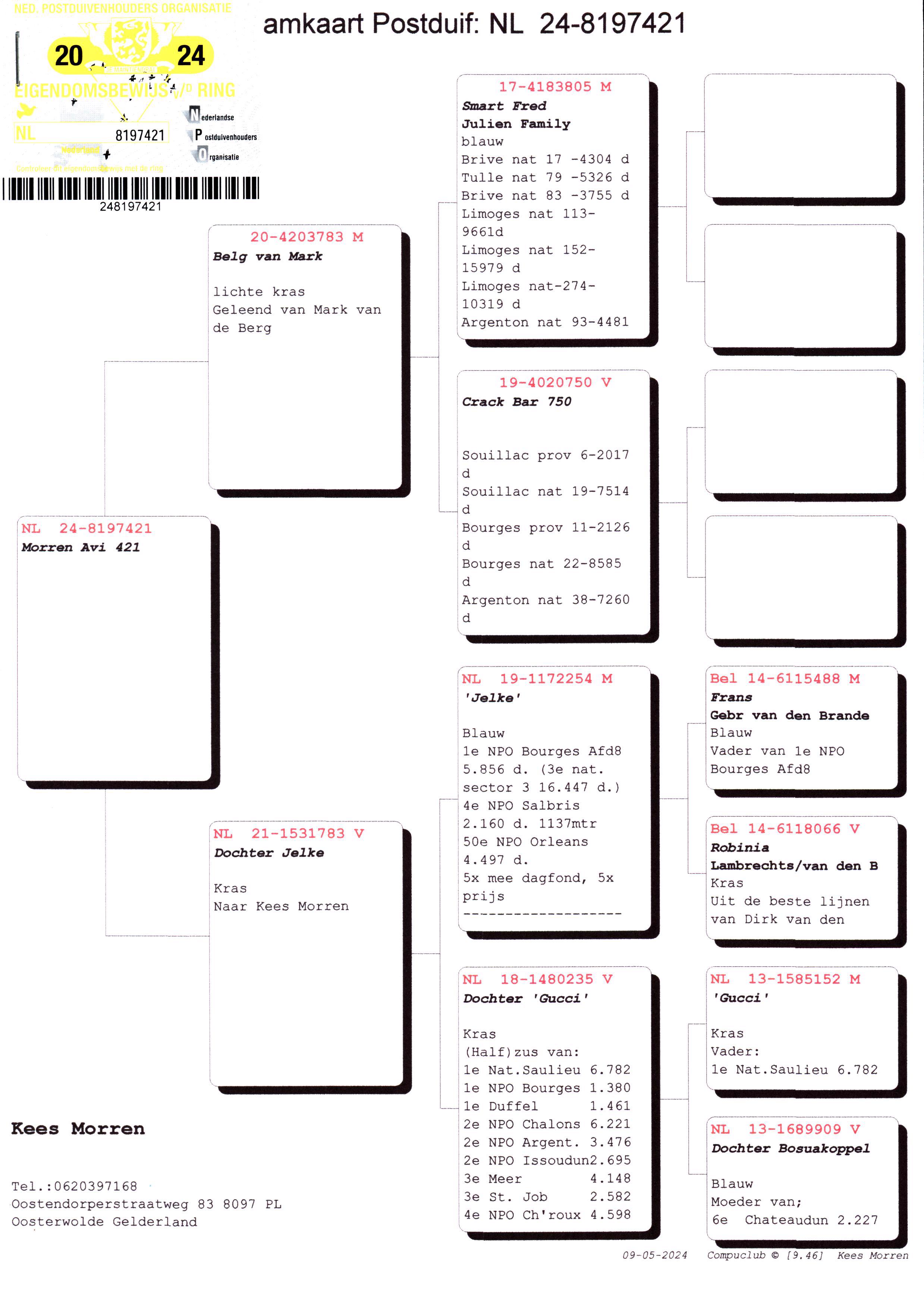 Pigeon pedigree image