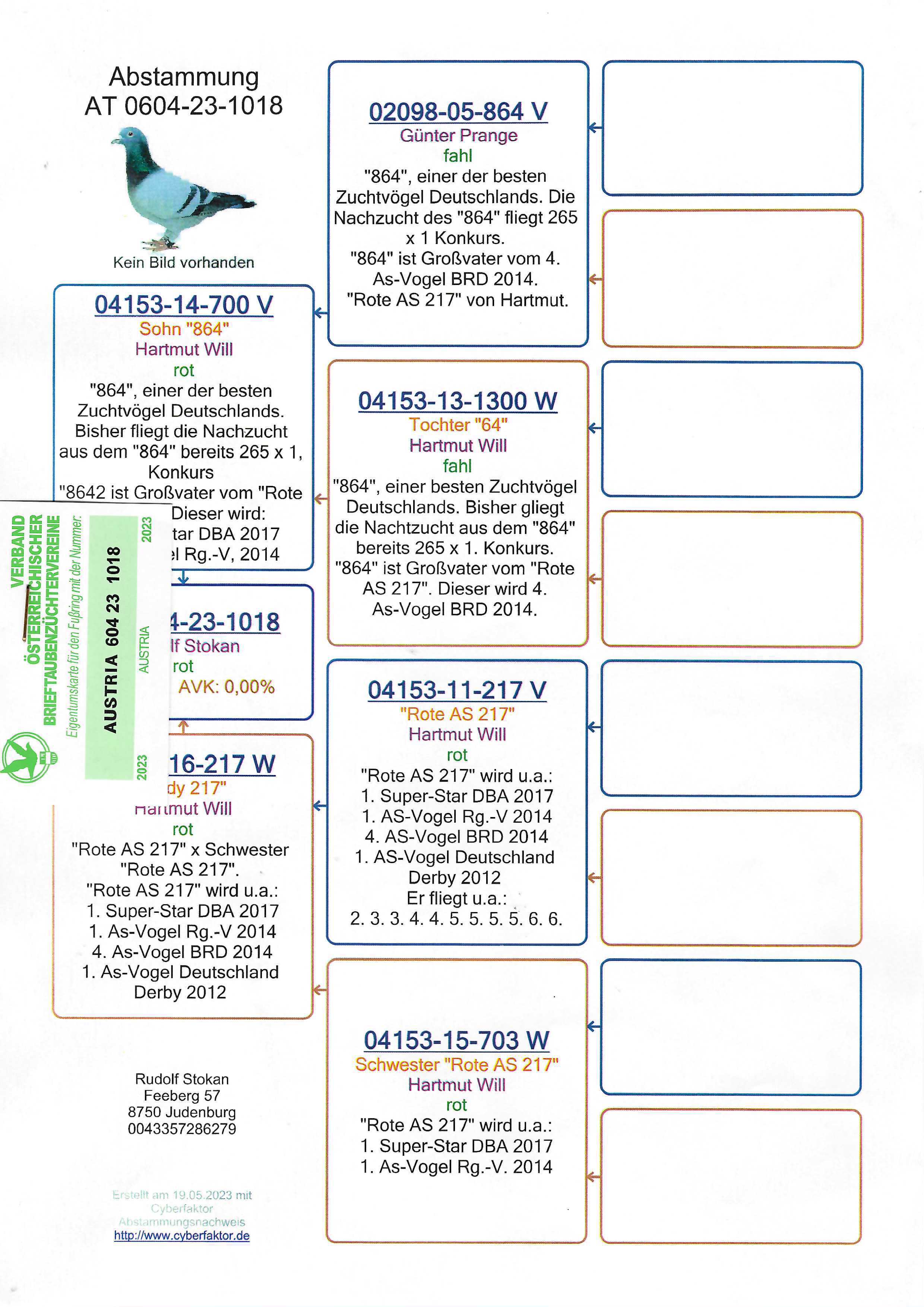 Pigeon pedigree image