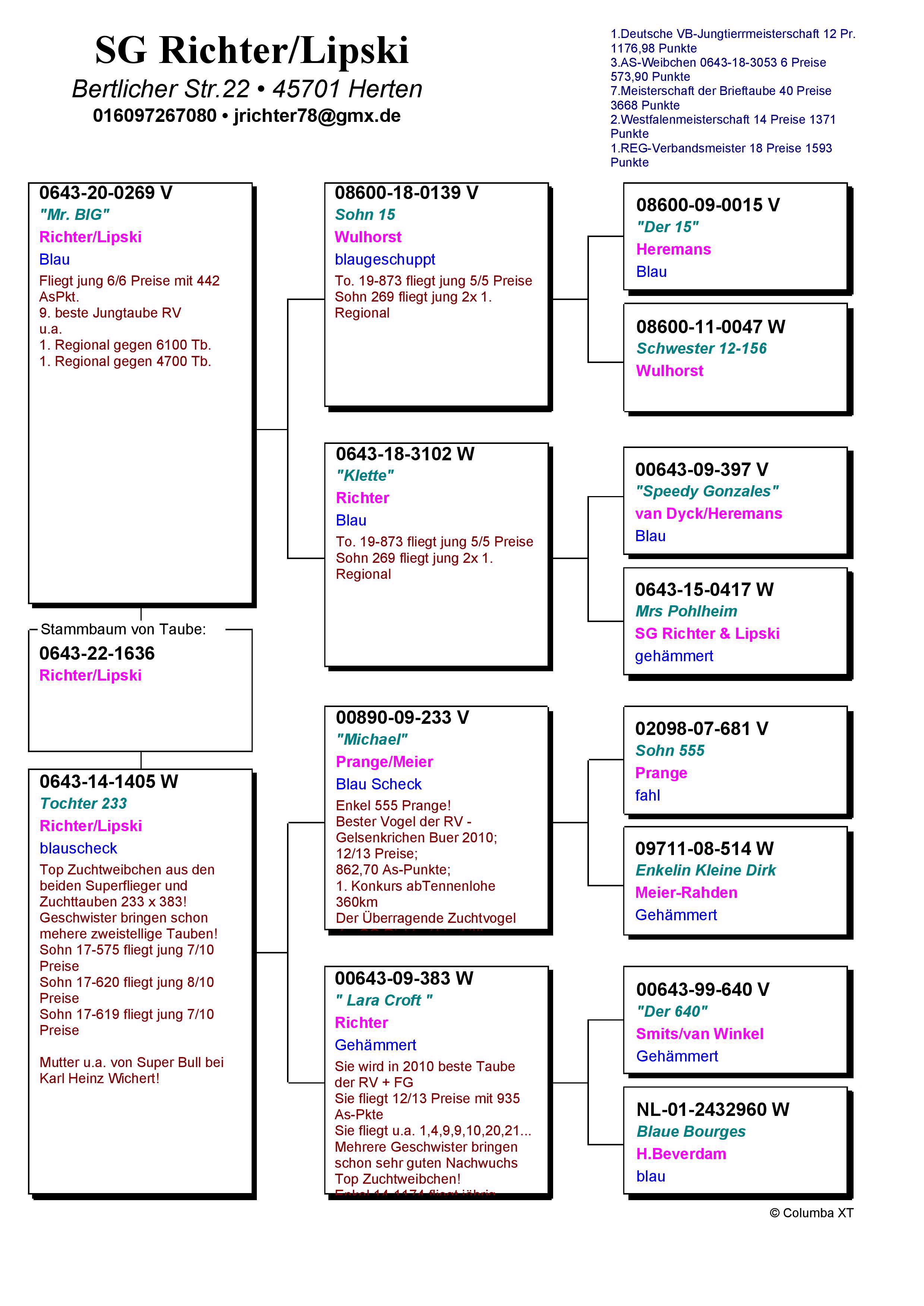Pigeon pedigree image