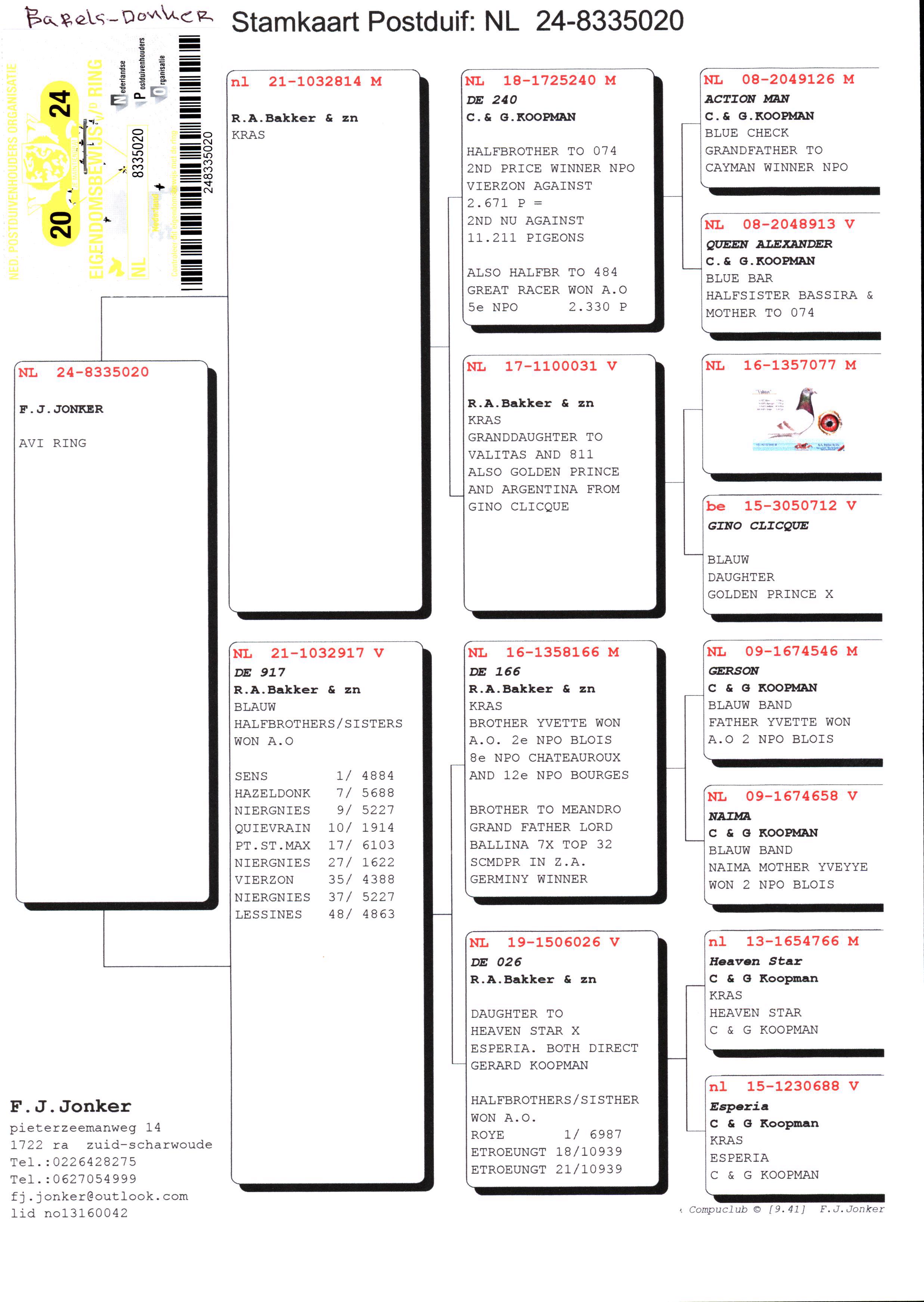 Pigeon pedigree image