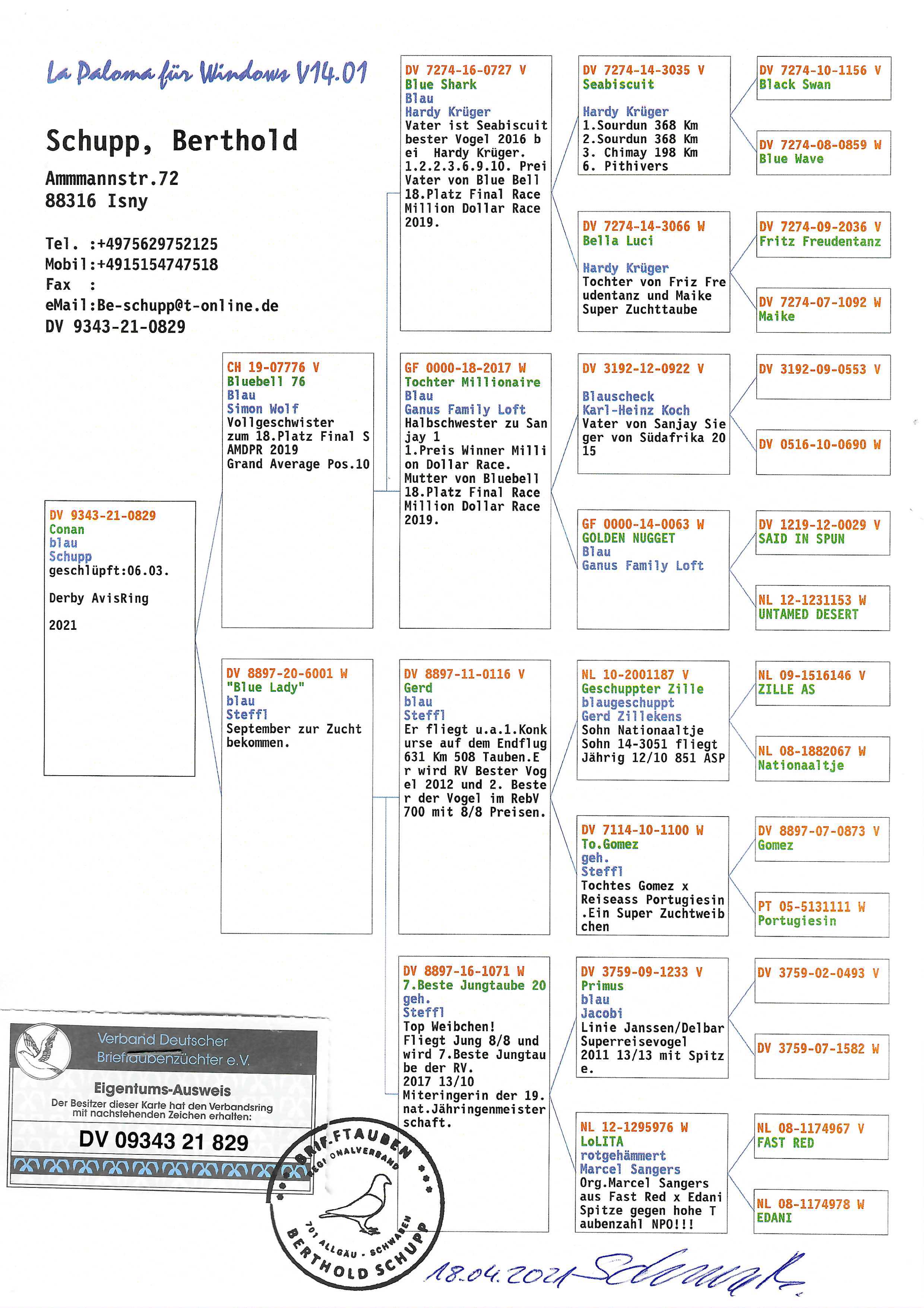 Pigeon pedigree image