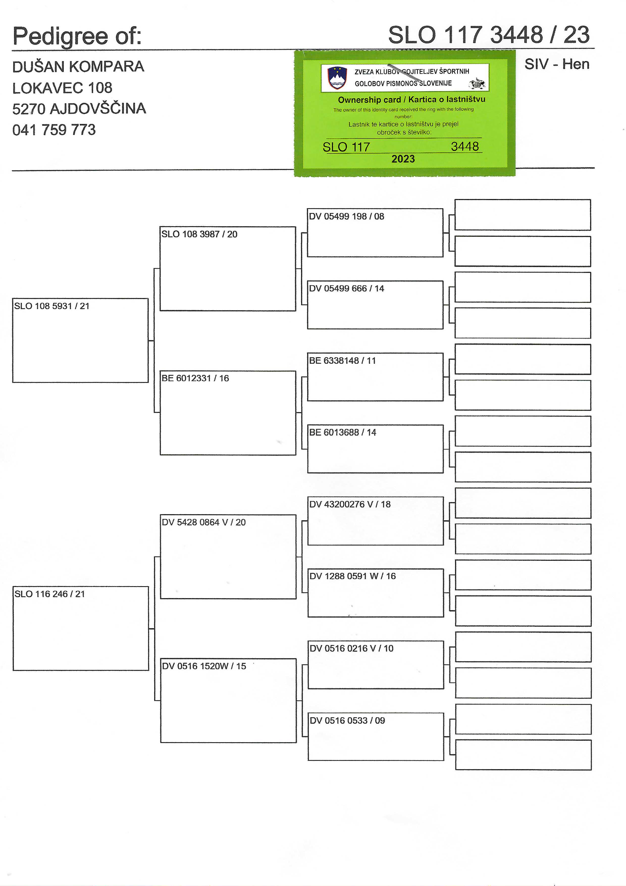 Pigeon pedigree image