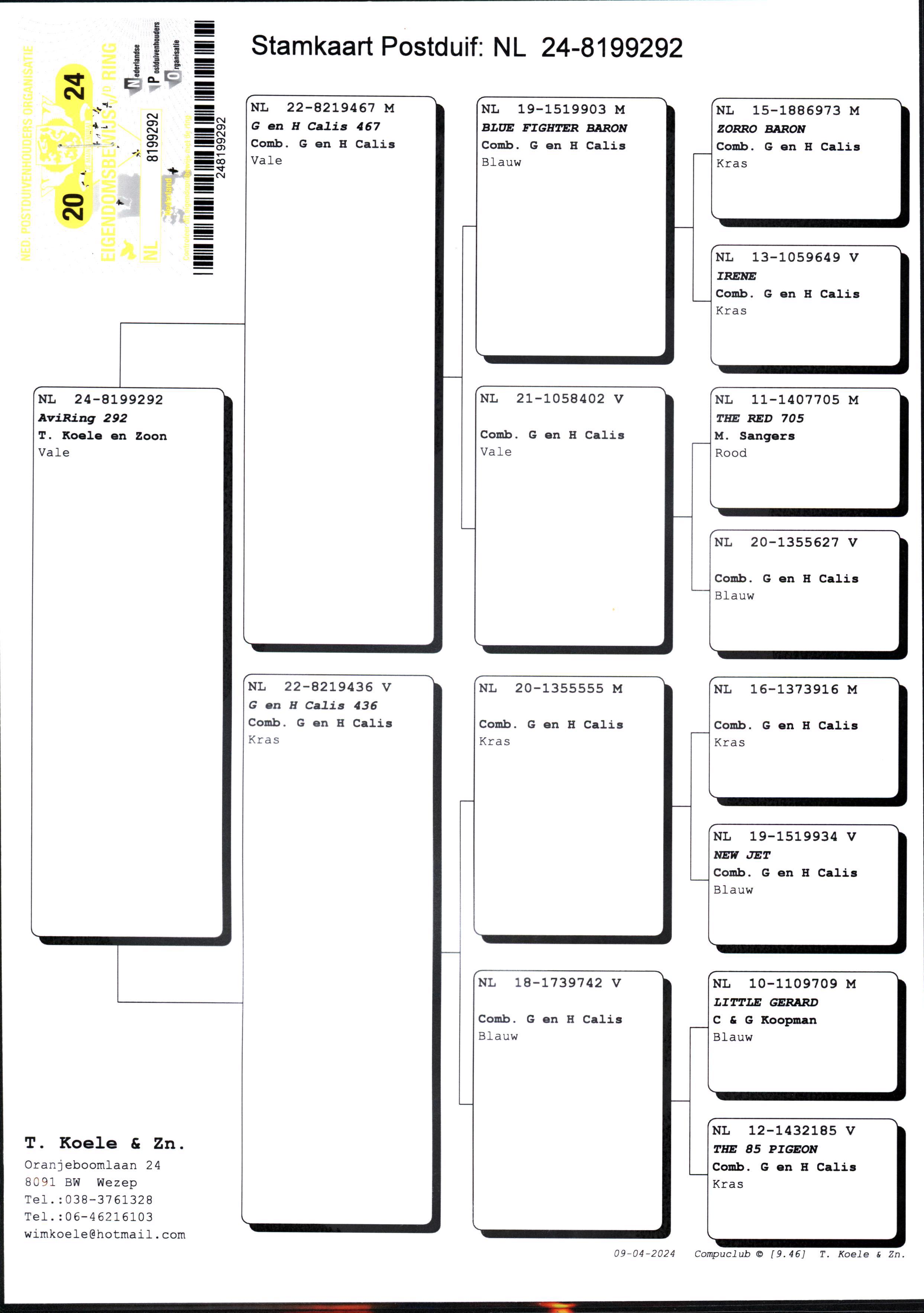 Pigeon pedigree image