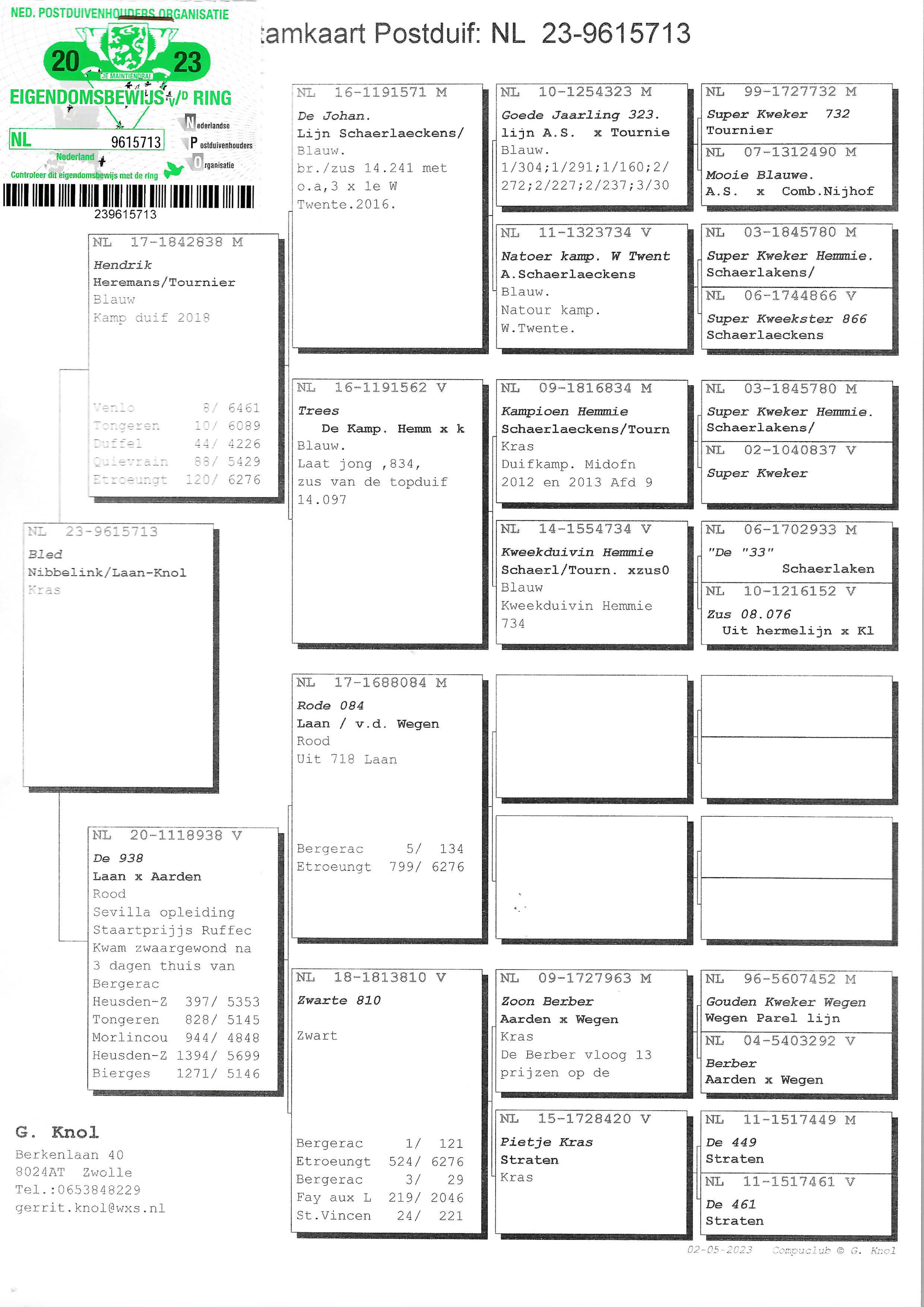 Pigeon pedigree image