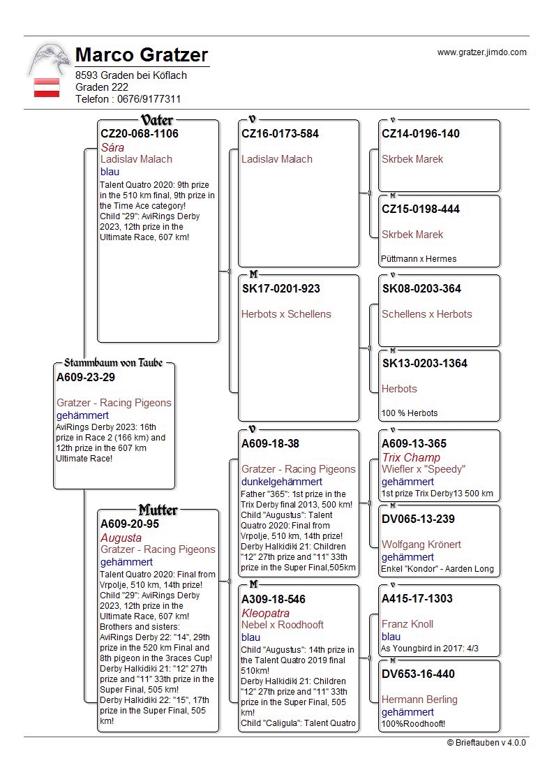 Pigeon pedigree image