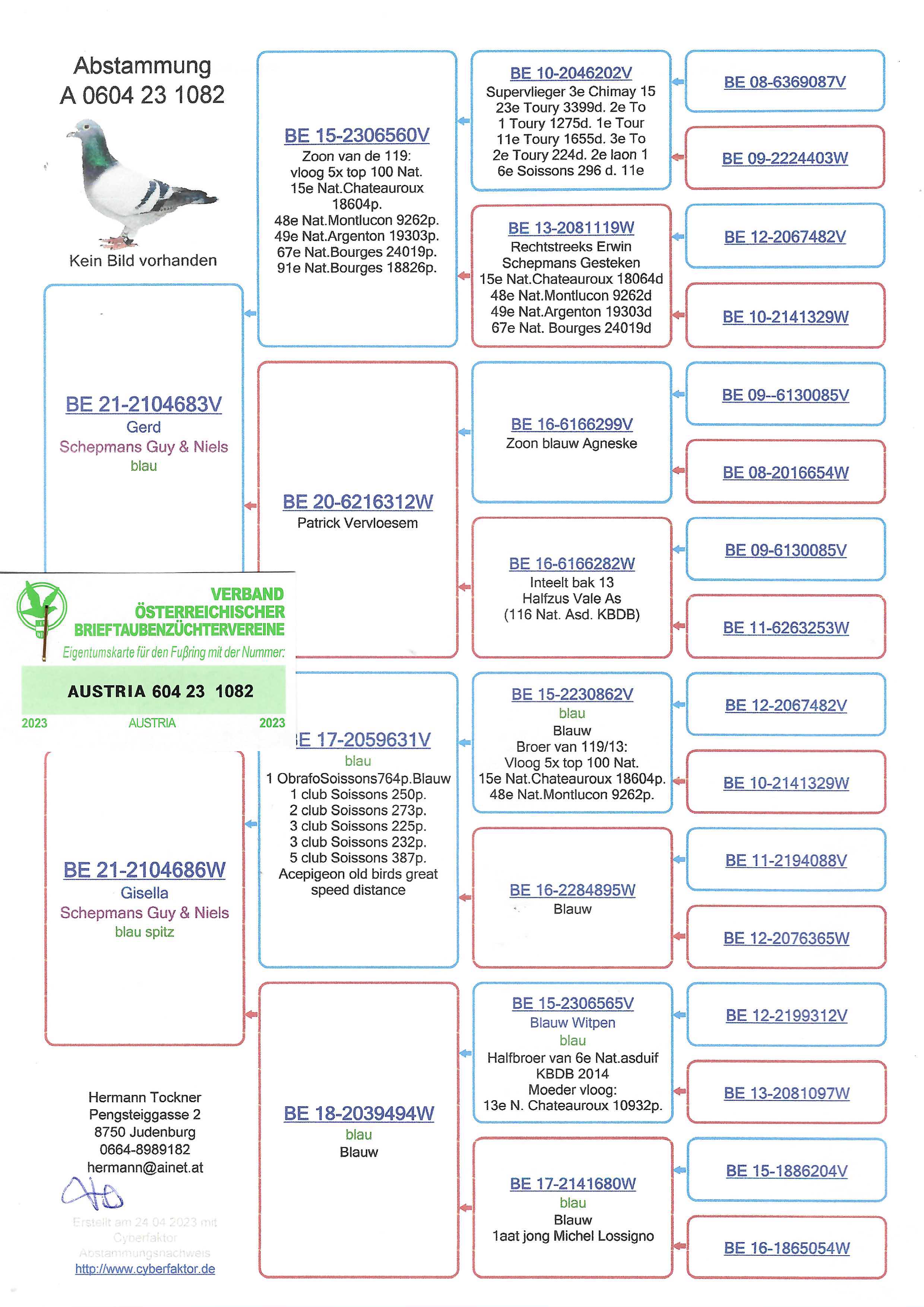 Pigeon pedigree image