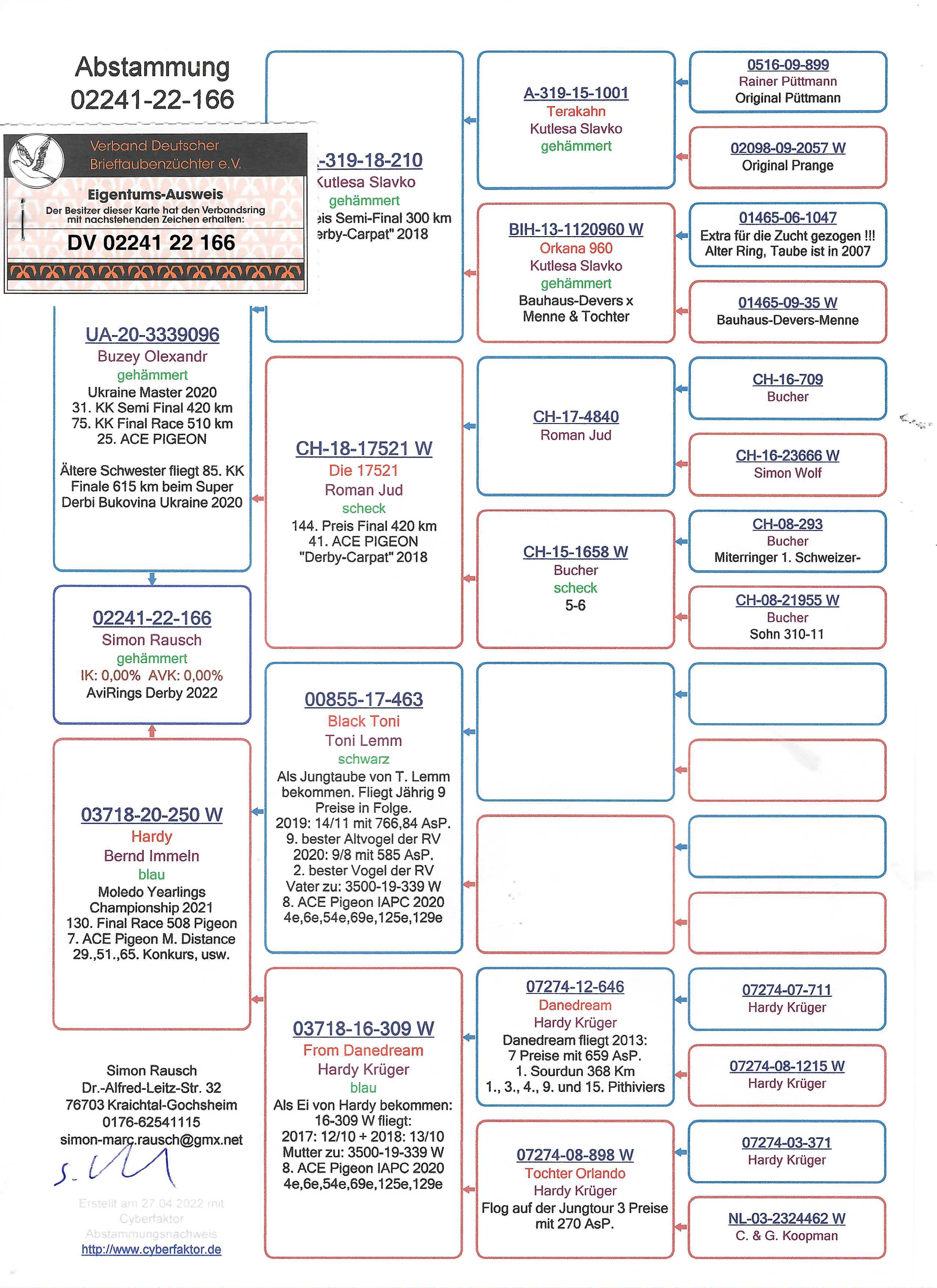 Pigeon pedigree image